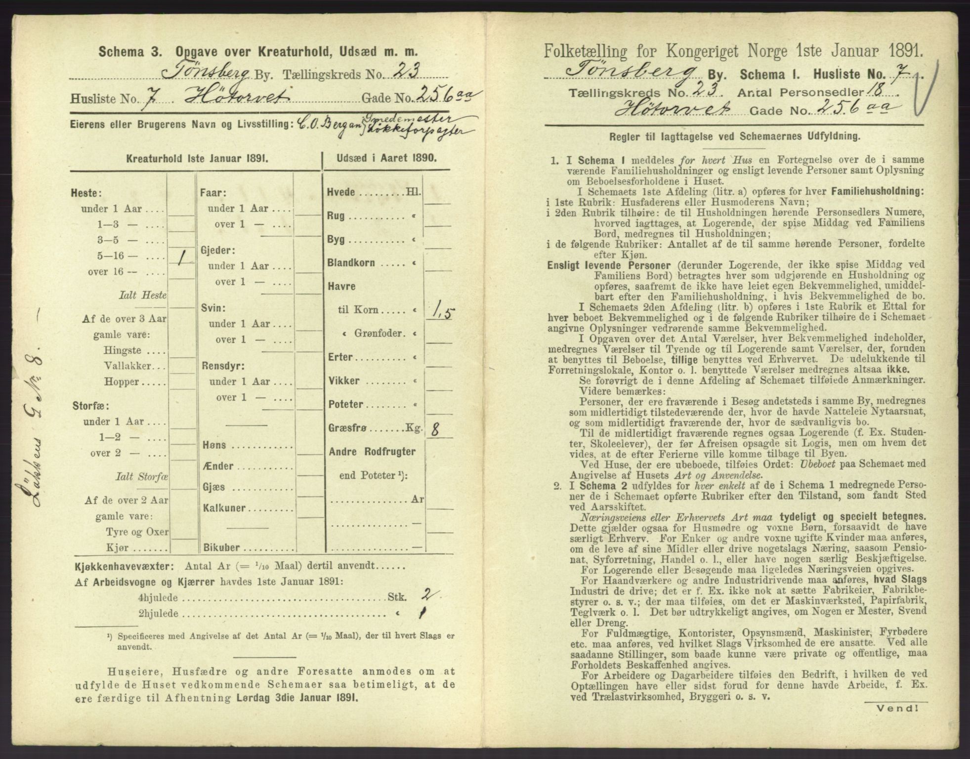 RA, 1891 census for 0705 Tønsberg, 1891, p. 756