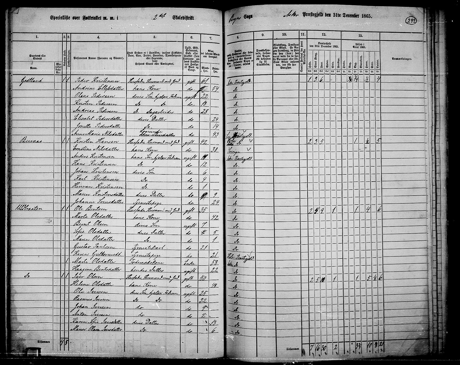 RA, 1865 census for Asker, 1865, p. 281