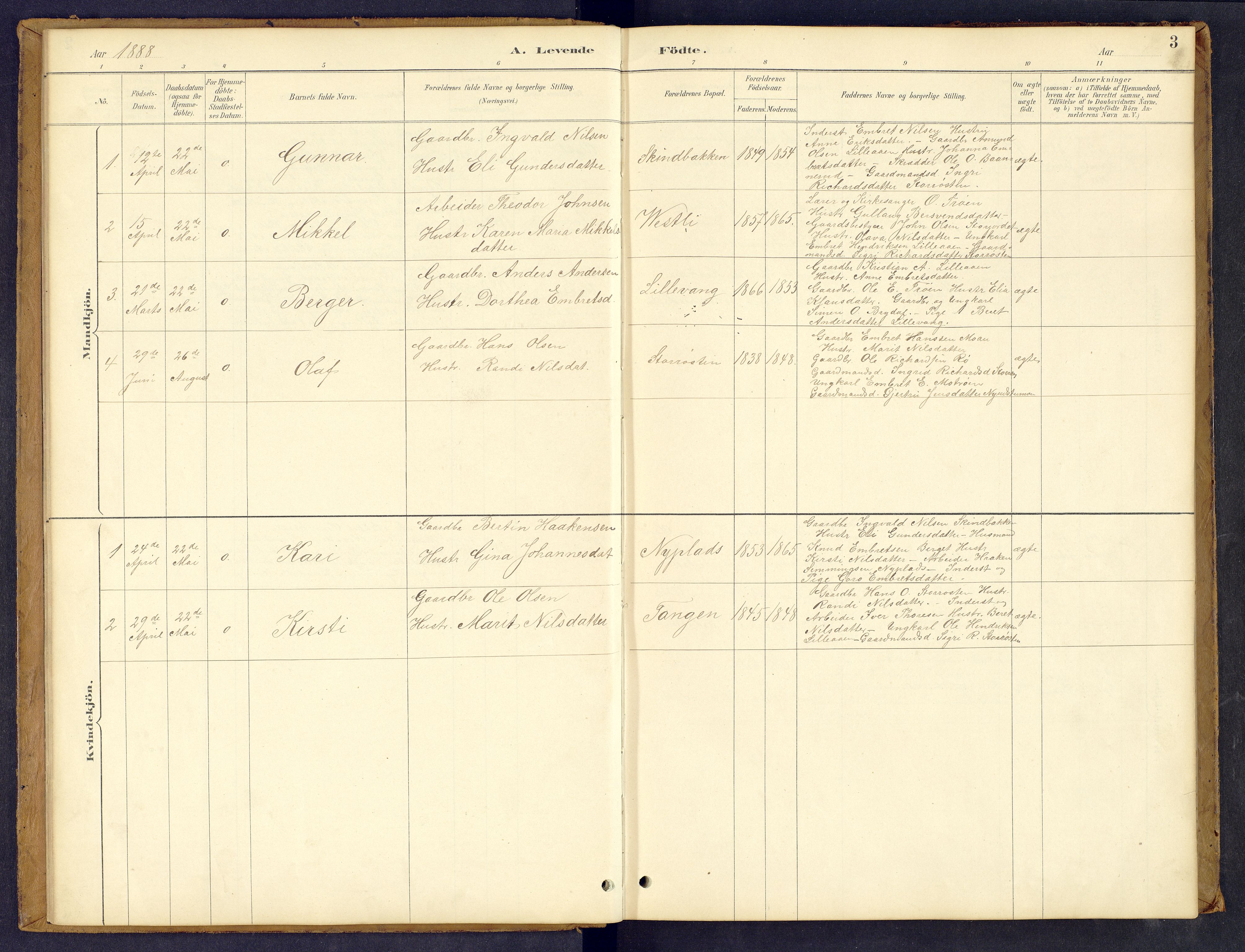 Tynset prestekontor, SAH/PREST-058/H/Ha/Hab/L0008: Parish register (copy) no. 8, 1884-1916, p. 3