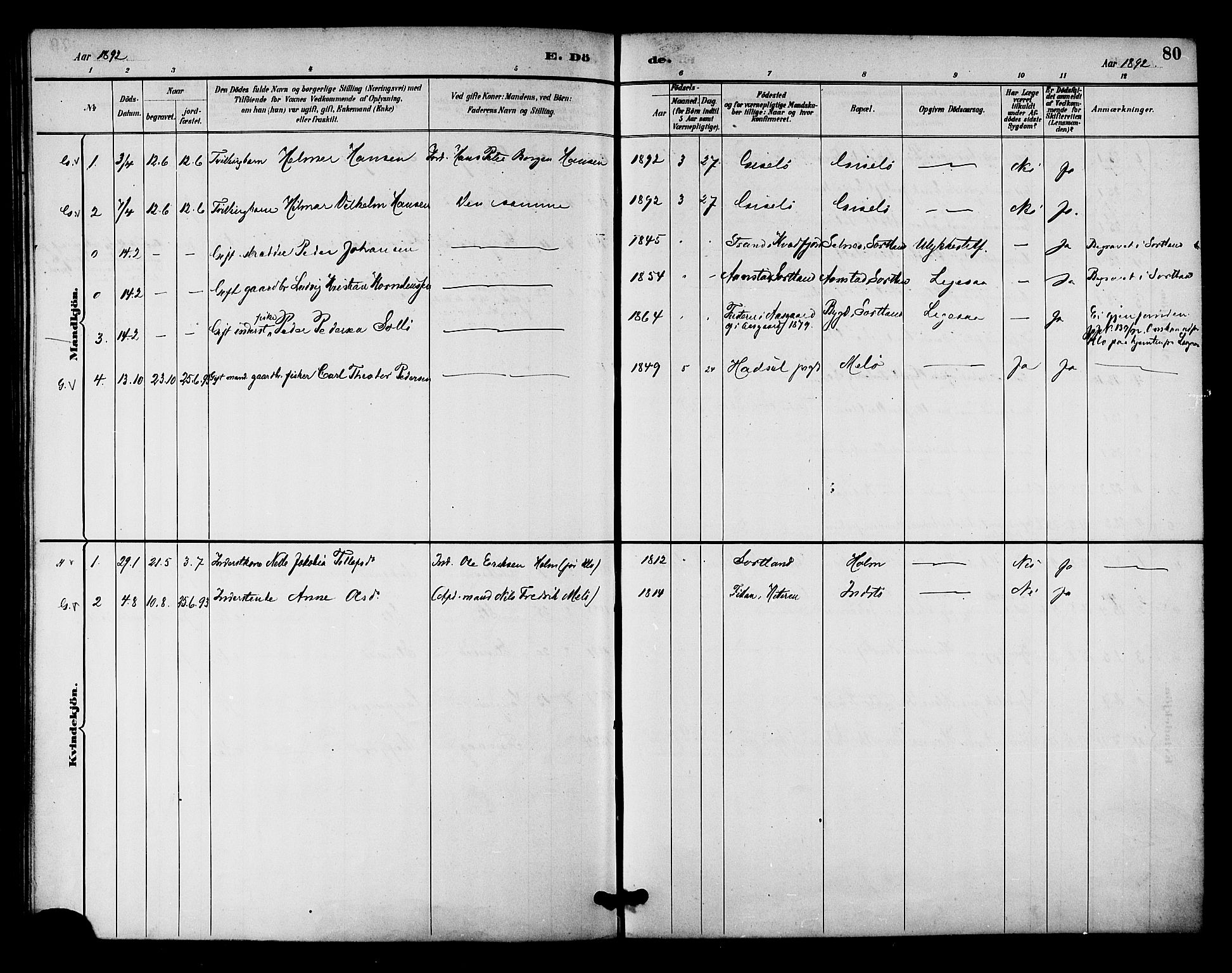 Ministerialprotokoller, klokkerbøker og fødselsregistre - Nordland, AV/SAT-A-1459/894/L1355: Parish register (official) no. 894A01, 1885-1896, p. 80