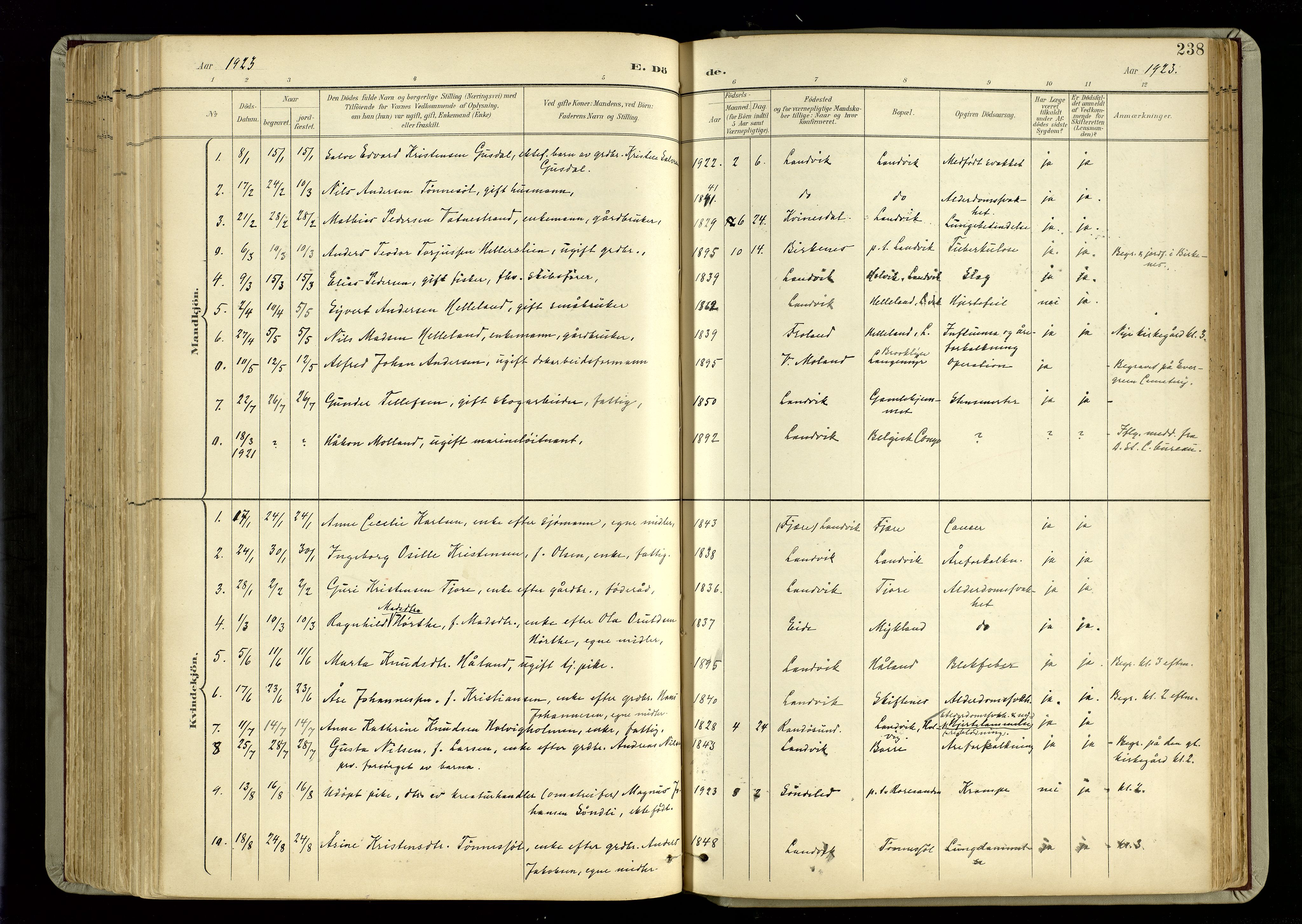 Hommedal sokneprestkontor, AV/SAK-1111-0023/F/Fa/Fab/L0007: Parish register (official) no. A 7, 1898-1924, p. 238