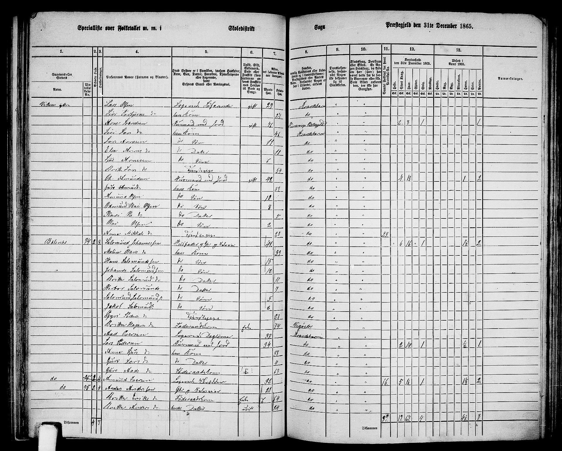 RA, 1865 census for Strandebarm, 1865, p. 134