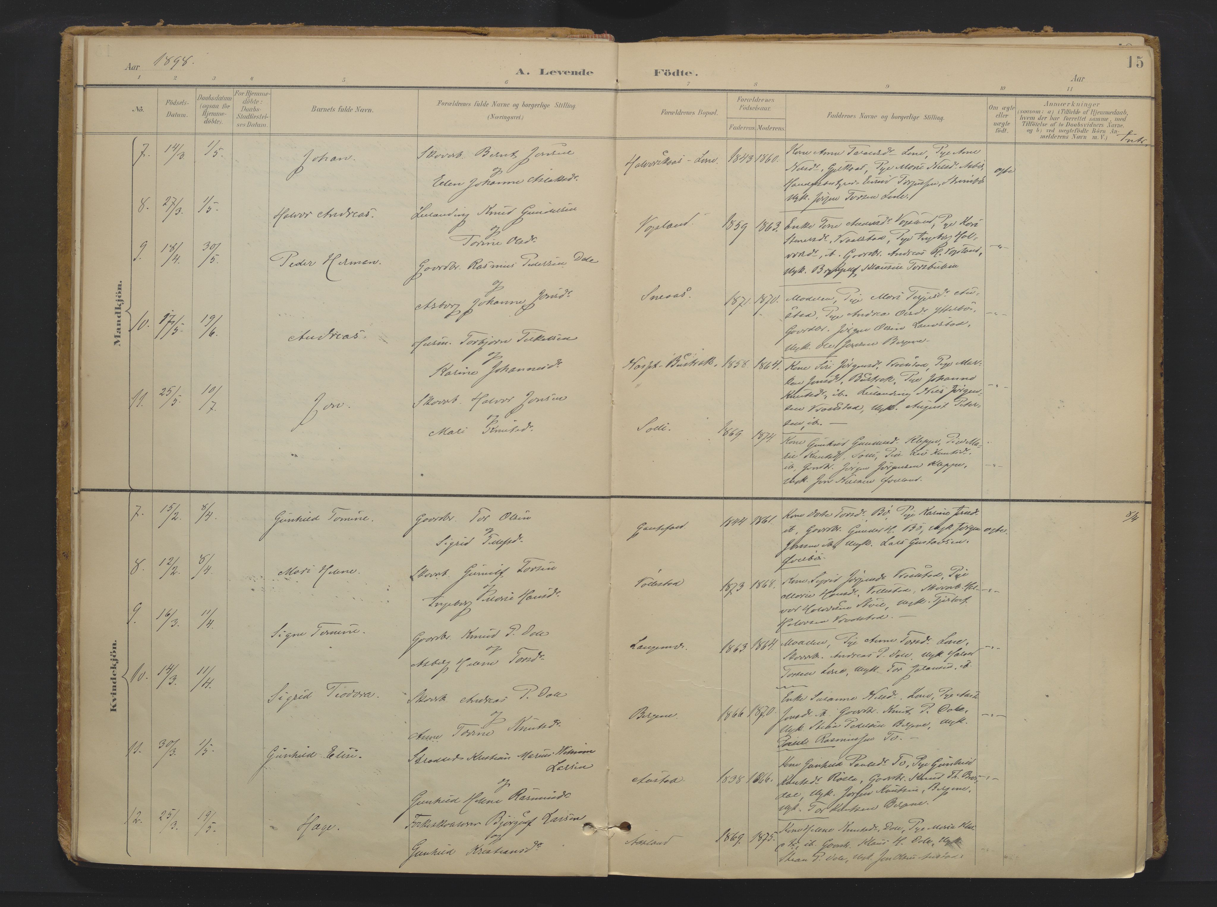 Drangedal kirkebøker, AV/SAKO-A-258/F/Fa/L0013: Parish register (official) no. 13, 1895-1919, p. 15