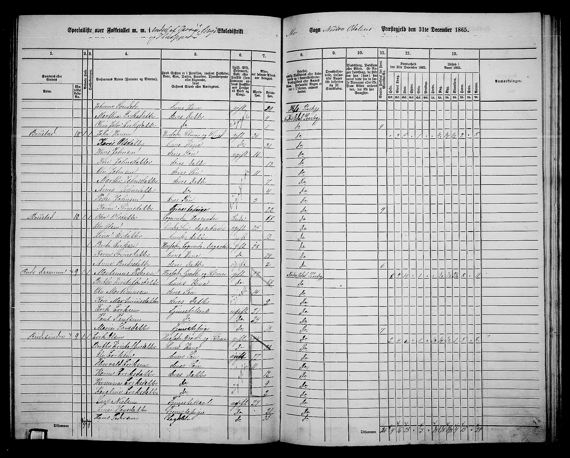 RA, 1865 census for Nord-Odal, 1865, p. 133