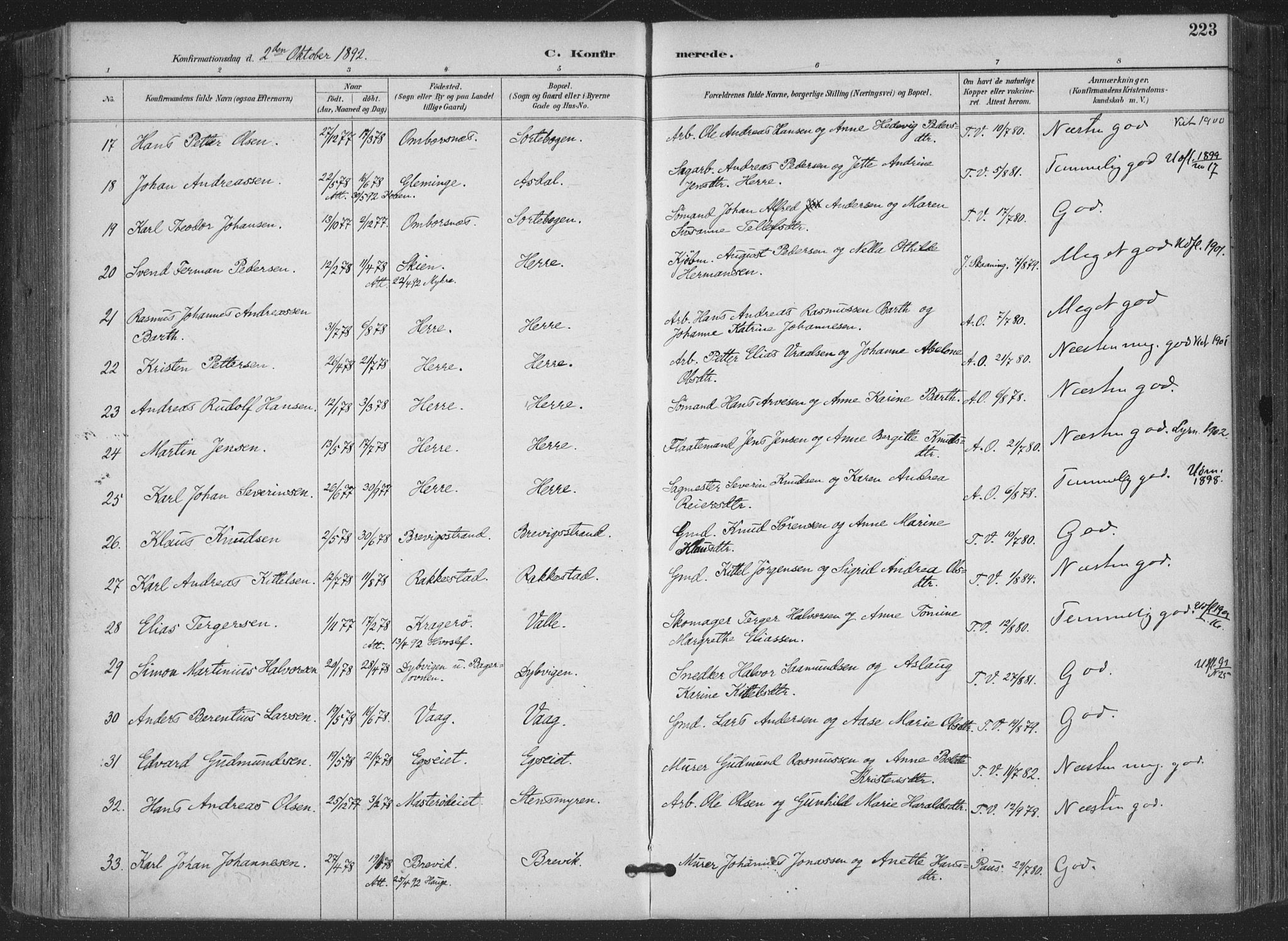 Bamble kirkebøker, AV/SAKO-A-253/F/Fa/L0008: Parish register (official) no. I 8, 1888-1900, p. 223