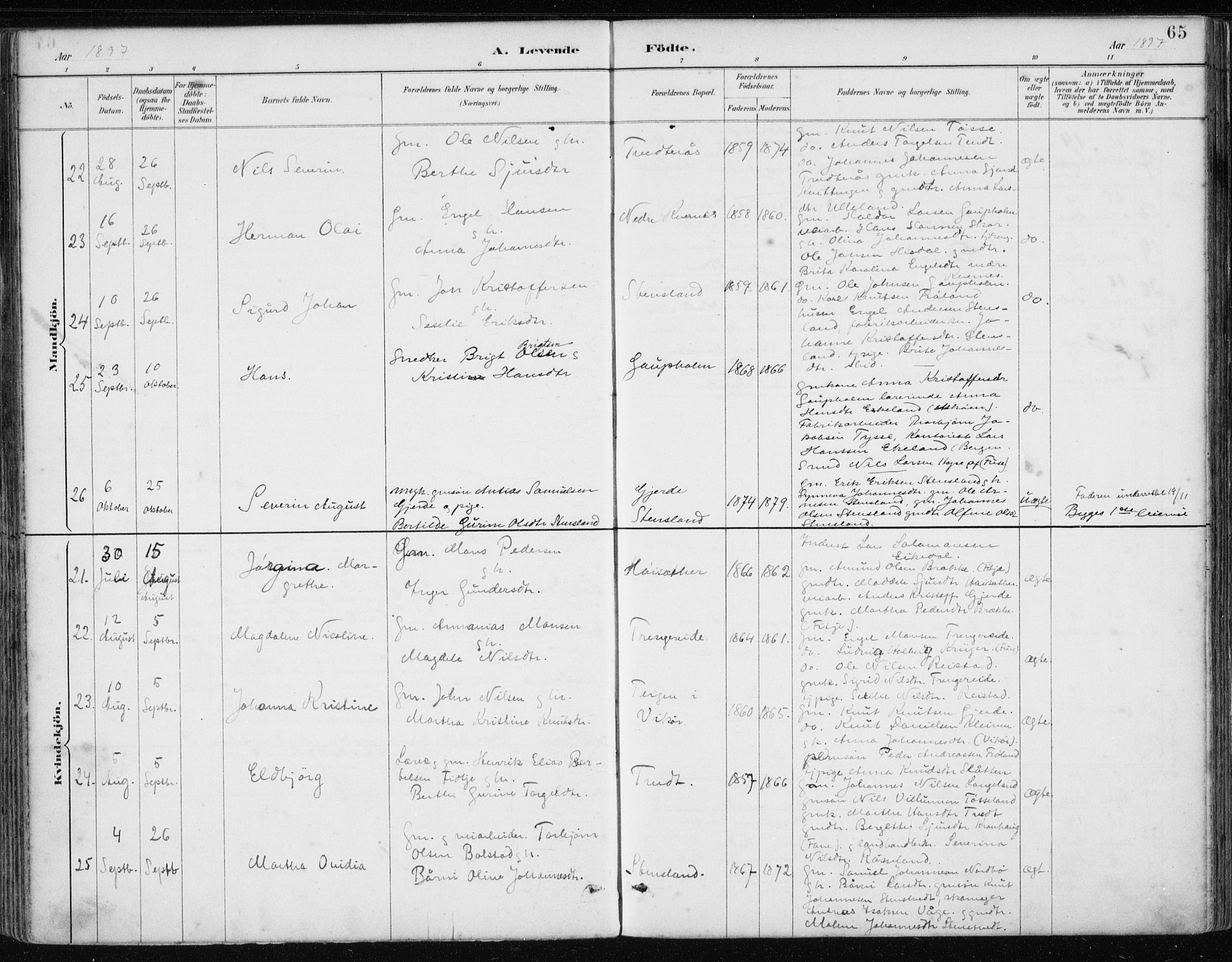 Samnanger Sokneprestembete, AV/SAB-A-77501/H/Haa: Parish register (official) no. A 1, 1885-1901, p. 65