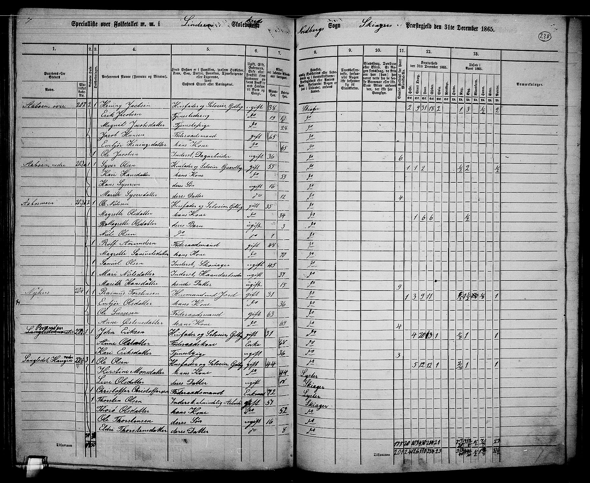 RA, 1865 census for Skjåk, 1865, p. 85