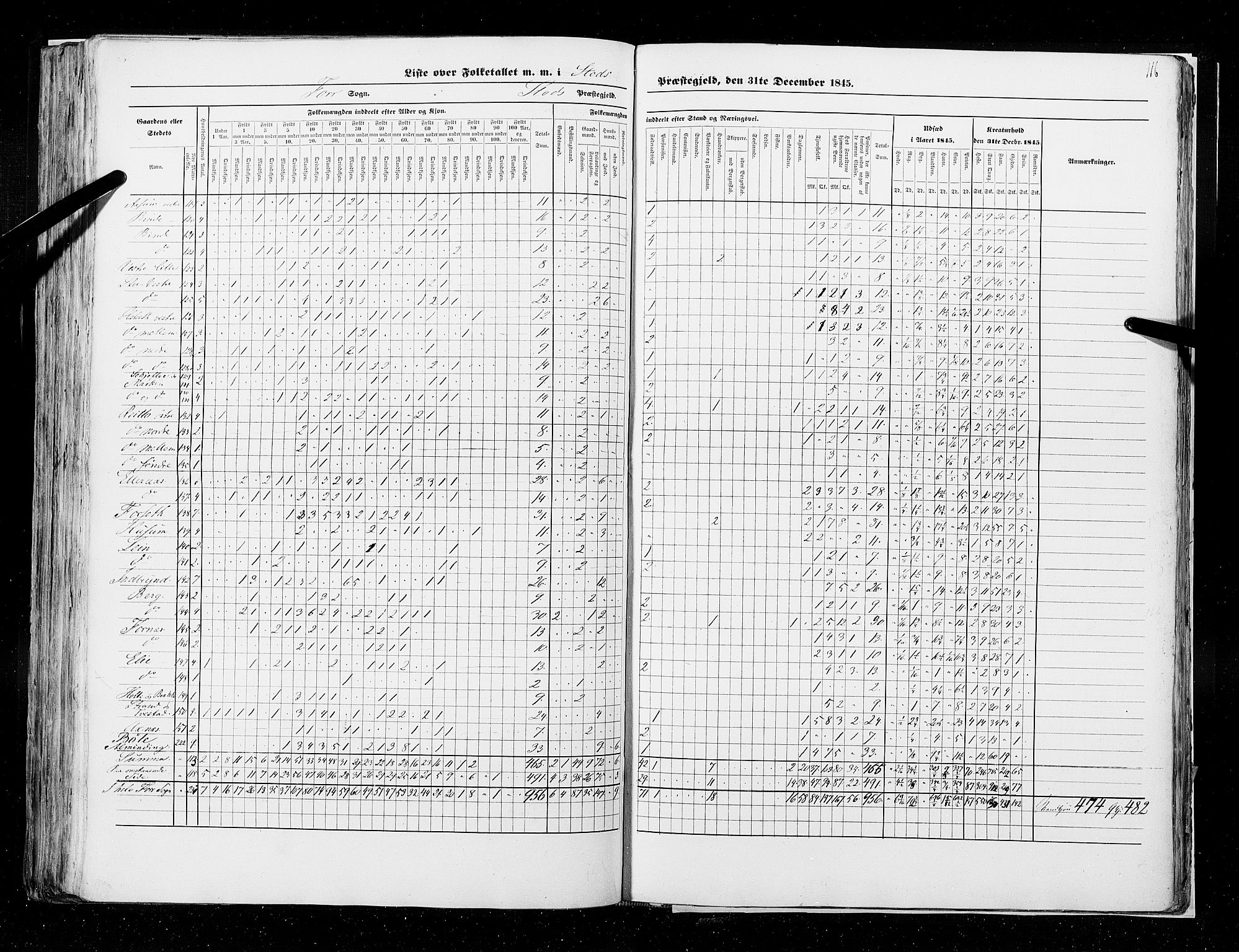 RA, Census 1845, vol. 9A: Nordre Trondhjems amt, 1845, p. 116