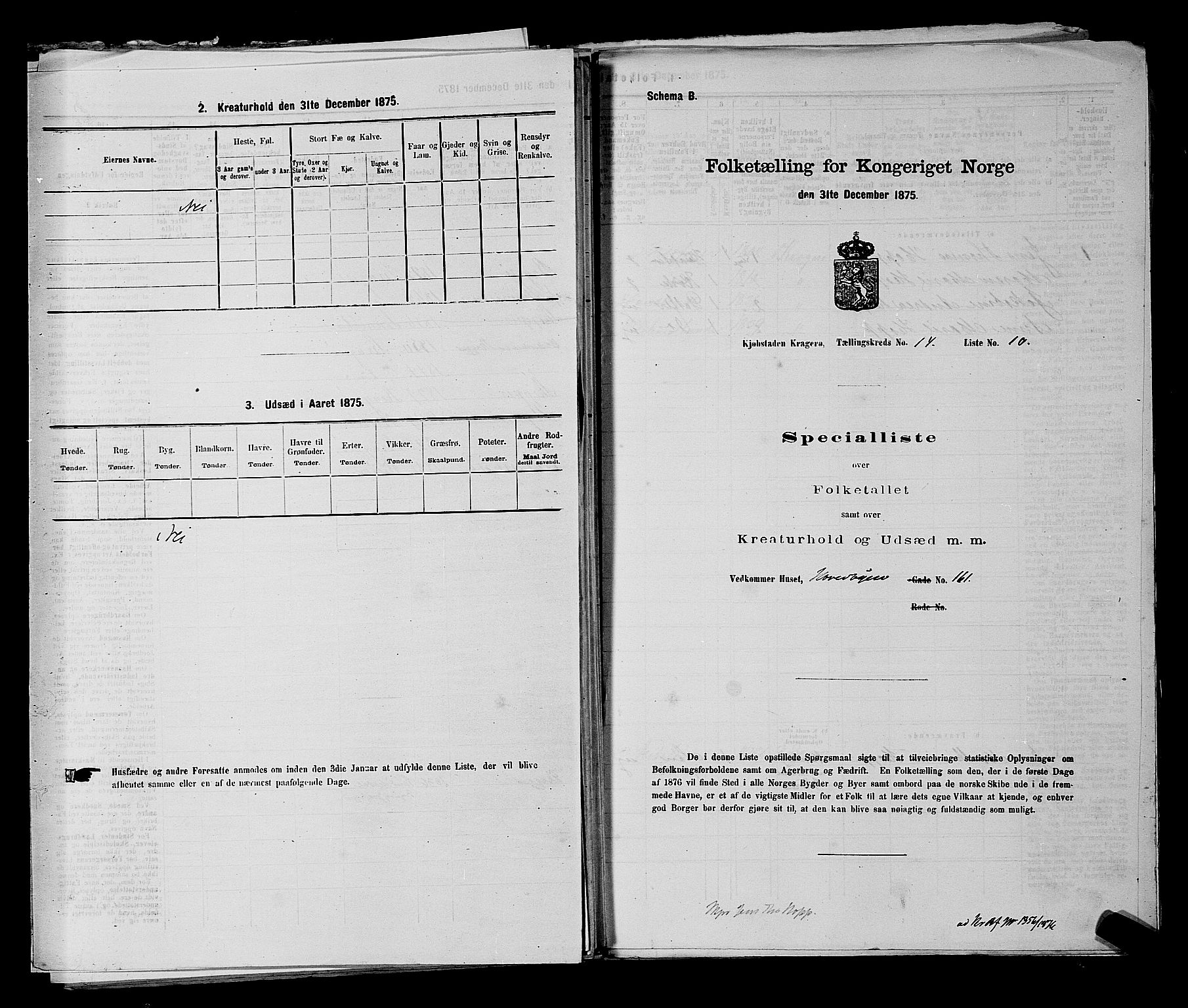 SAKO, 1875 census for 0801P Kragerø, 1875, p. 313