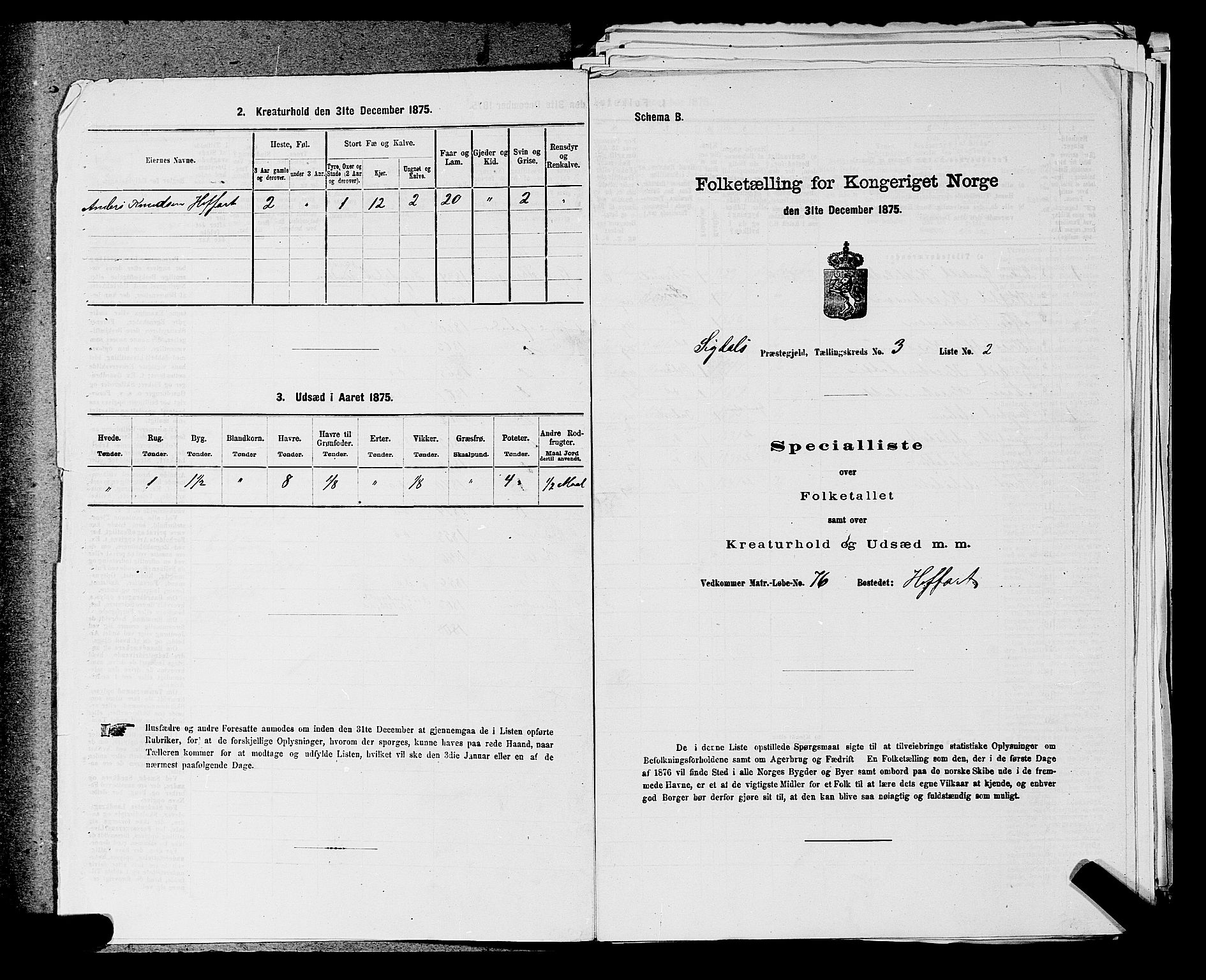 SAKO, 1875 census for 0621P Sigdal, 1875, p. 424