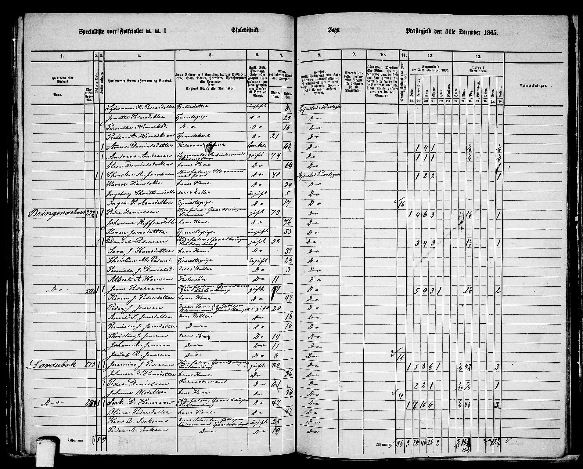 RA, 1865 census for Skjerstad, 1865, p. 127