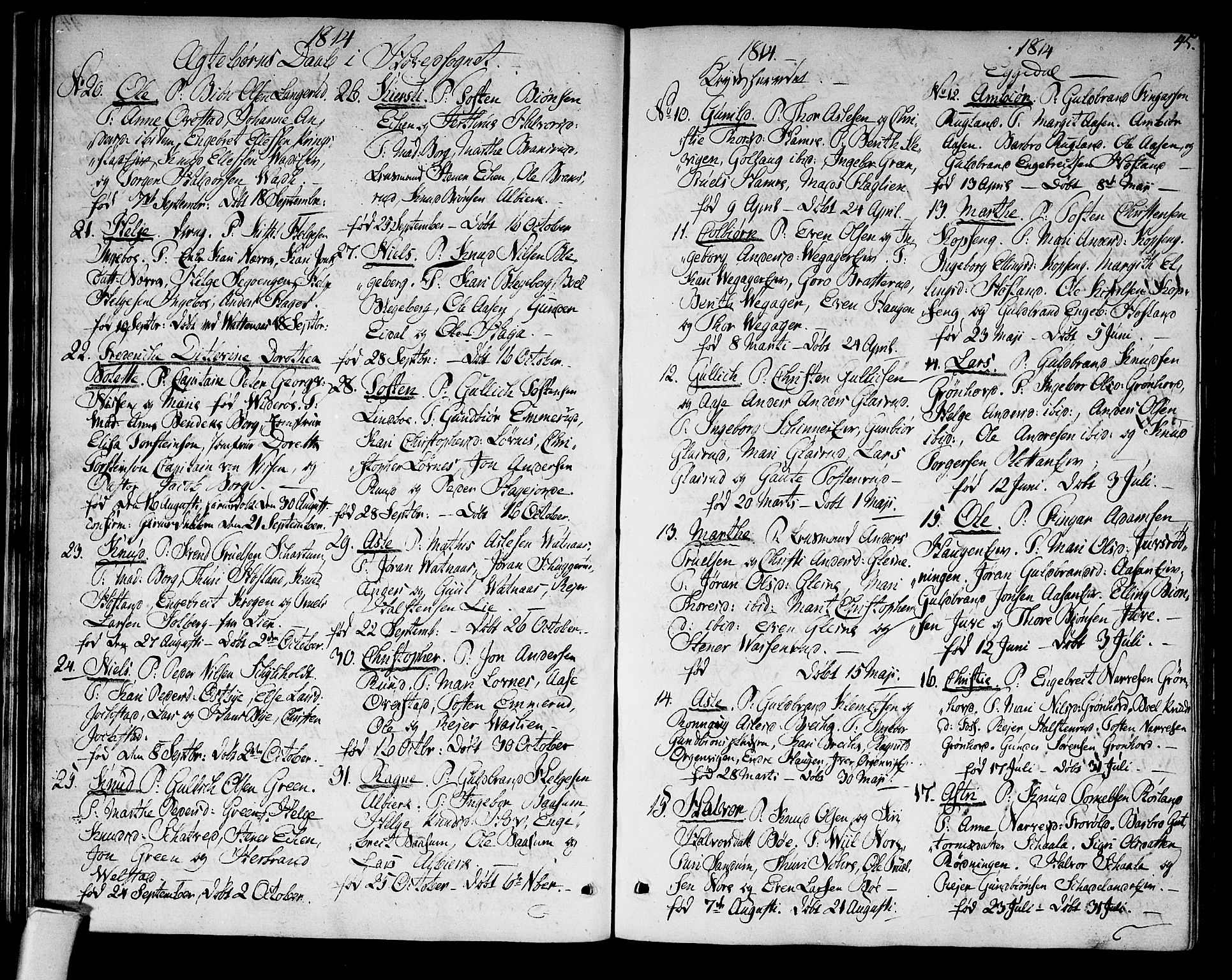 Sigdal kirkebøker, SAKO/A-245/F/Fa/L0004: Parish register (official) no. I 4, 1812-1815, p. 45