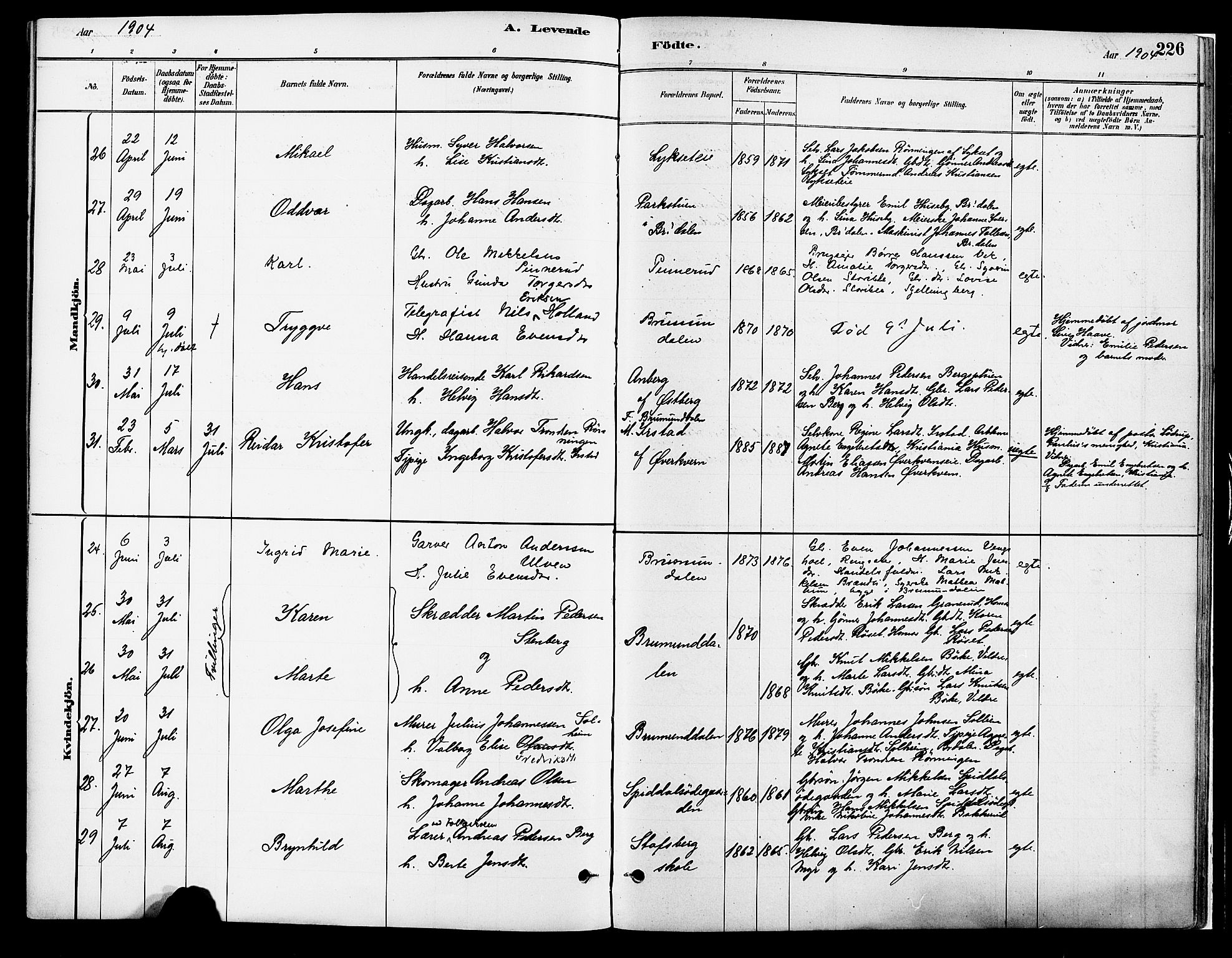 Vang prestekontor, Hedmark, SAH/PREST-008/H/Ha/Haa/L0018A: Parish register (official) no. 18A, 1880-1906, p. 226