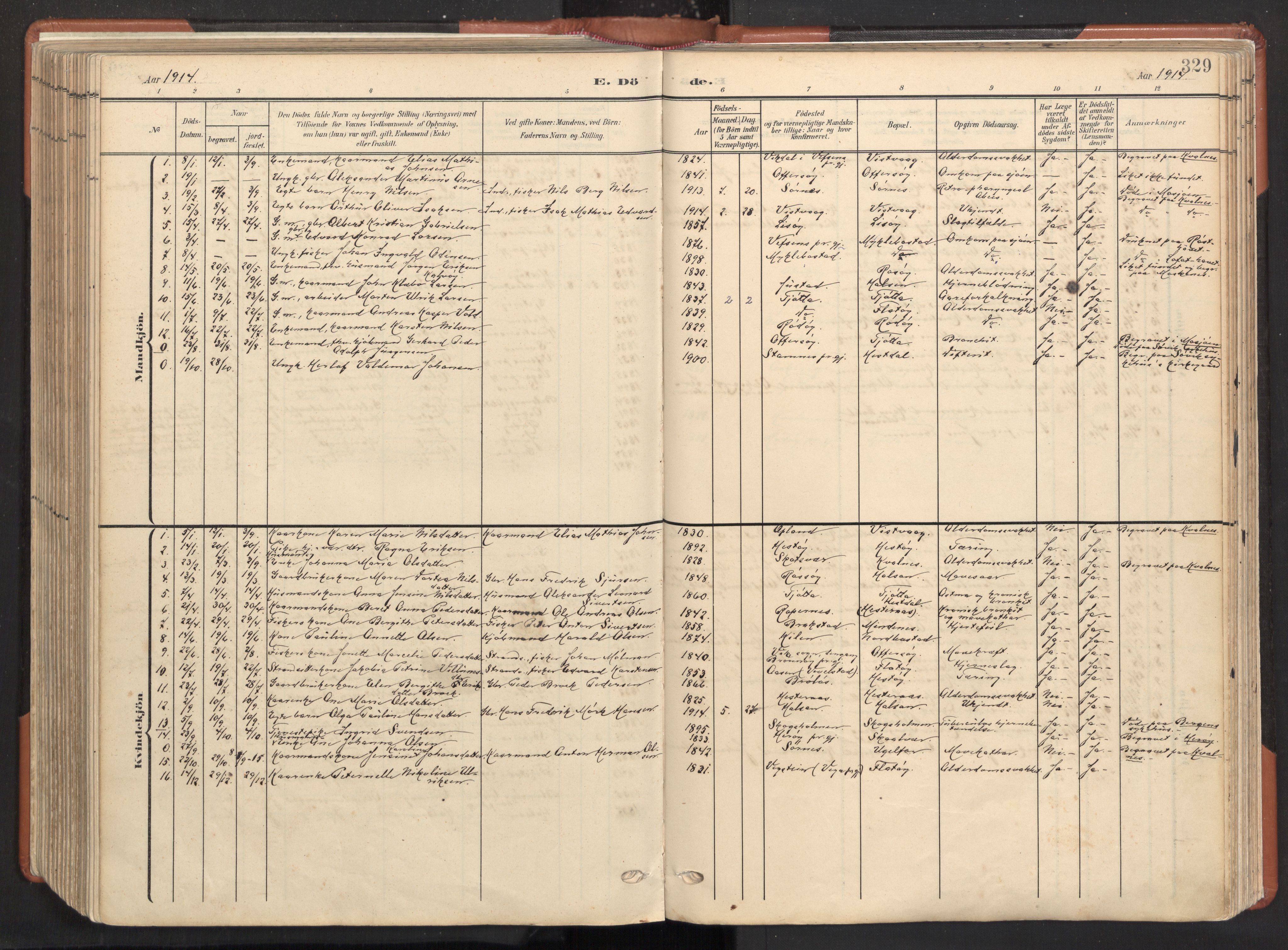 Ministerialprotokoller, klokkerbøker og fødselsregistre - Nordland, AV/SAT-A-1459/817/L0265: Parish register (official) no. 817A05, 1908-1944, p. 329