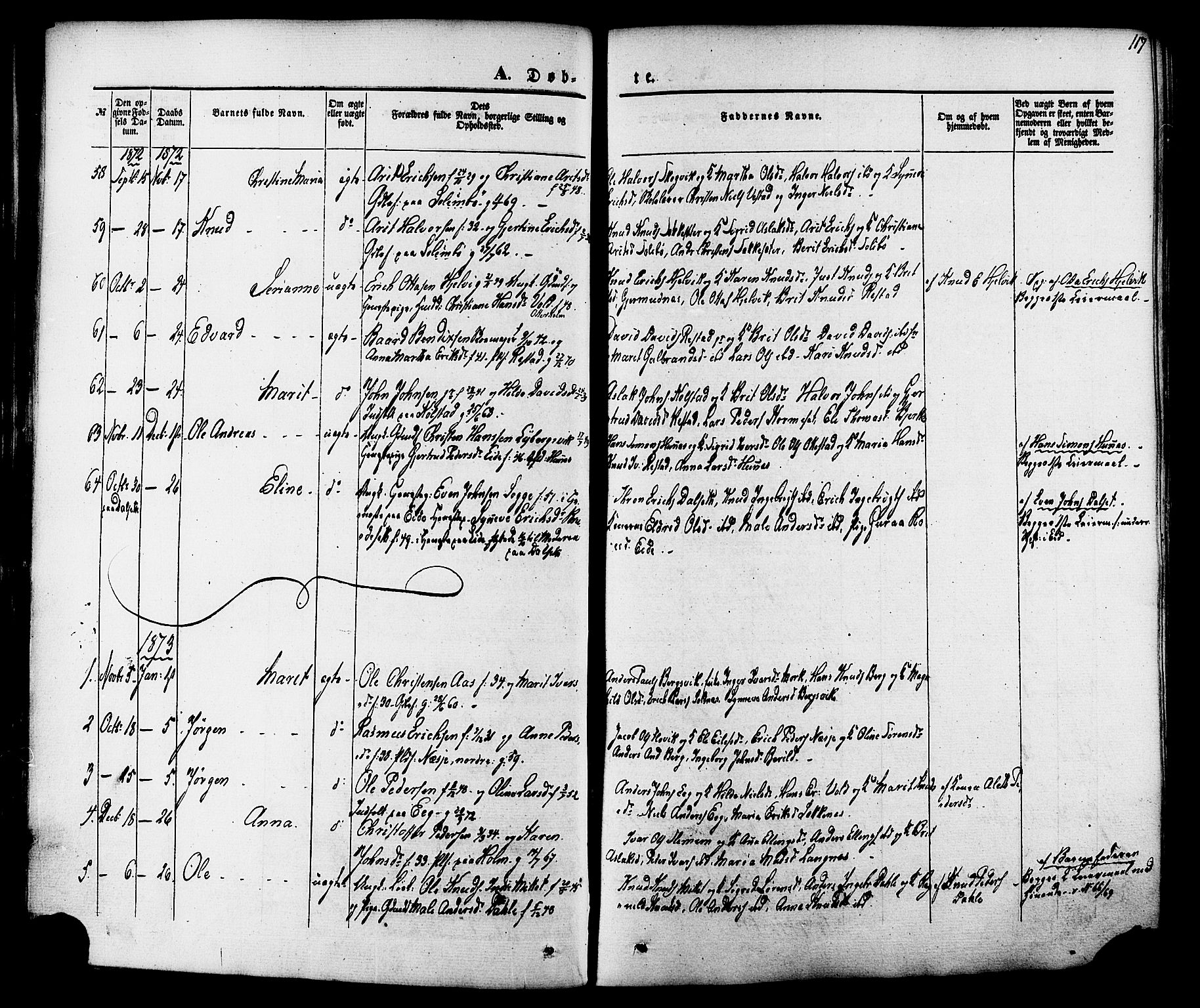 Ministerialprotokoller, klokkerbøker og fødselsregistre - Møre og Romsdal, SAT/A-1454/547/L0603: Parish register (official) no. 547A05, 1846-1877, p. 117