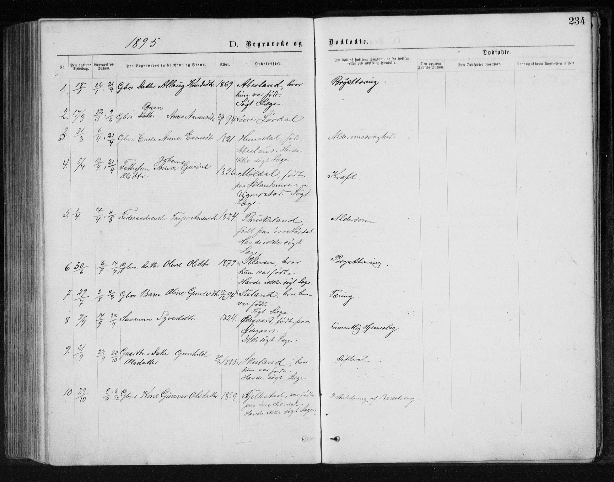 Holum sokneprestkontor, SAK/1111-0022/F/Fb/Fbb/L0003: Parish register (copy) no. B 3, 1875-1898, p. 234