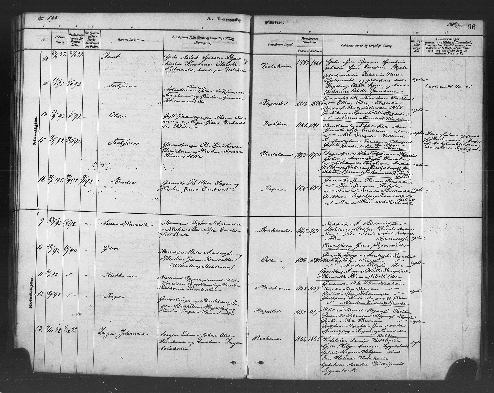 Ulvik sokneprestembete, SAB/A-78801/H/Haa: Parish register (official) no. B 1, 1878-1897, p. 66