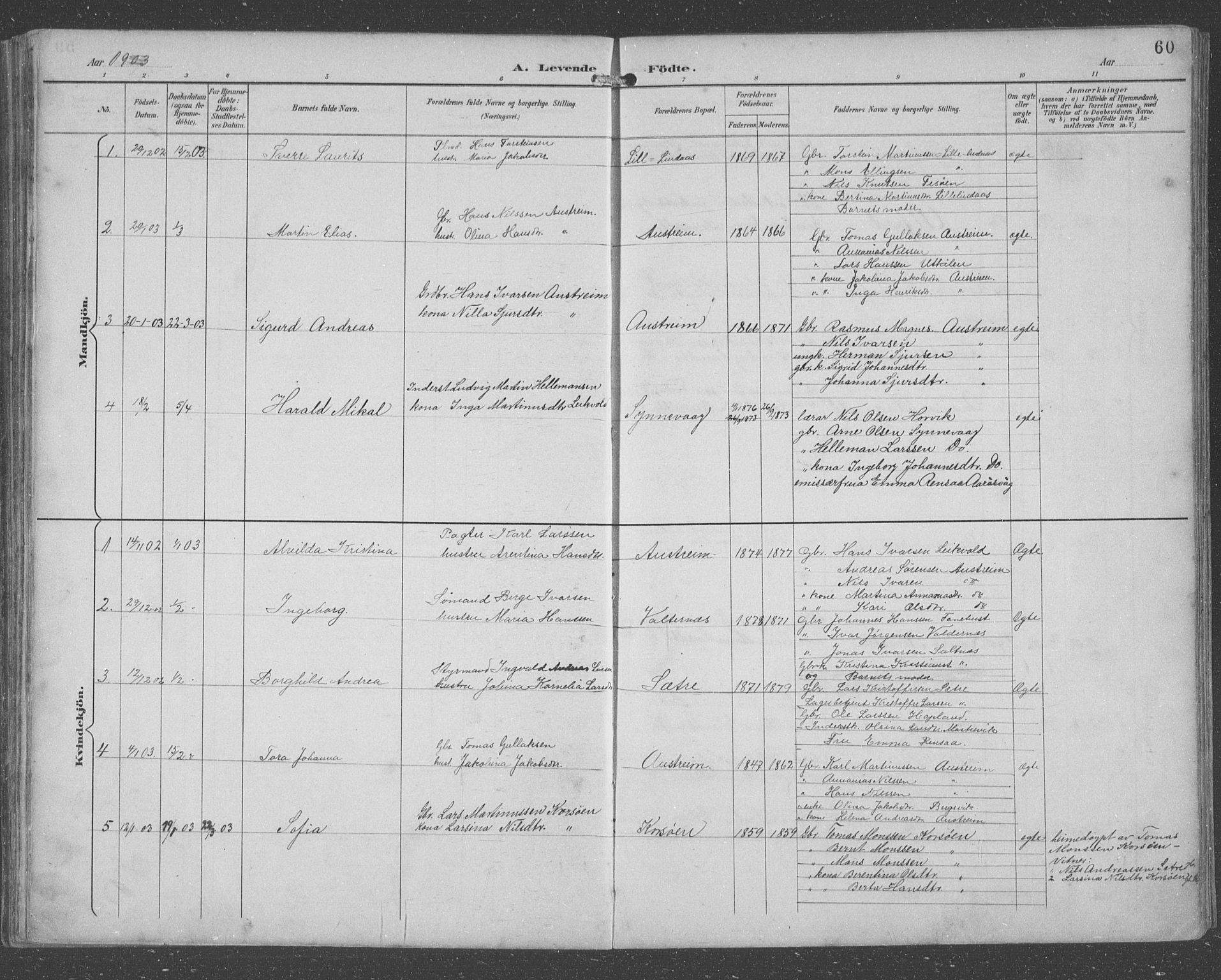 Lindås Sokneprestembete, SAB/A-76701/H/Hab: Parish register (copy) no. C 4, 1894-1910, p. 60