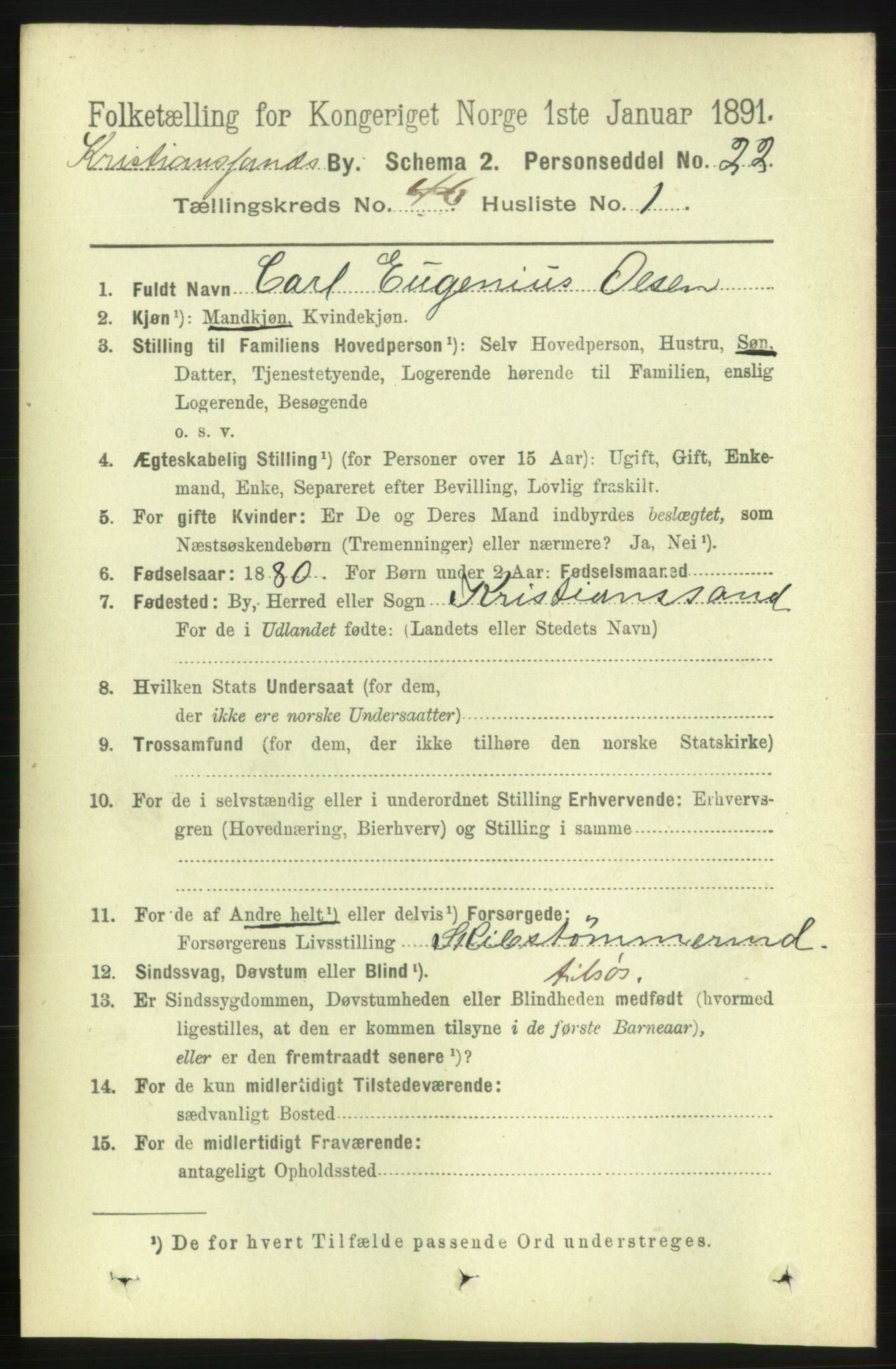 RA, 1891 census for 1001 Kristiansand, 1891, p. 14021