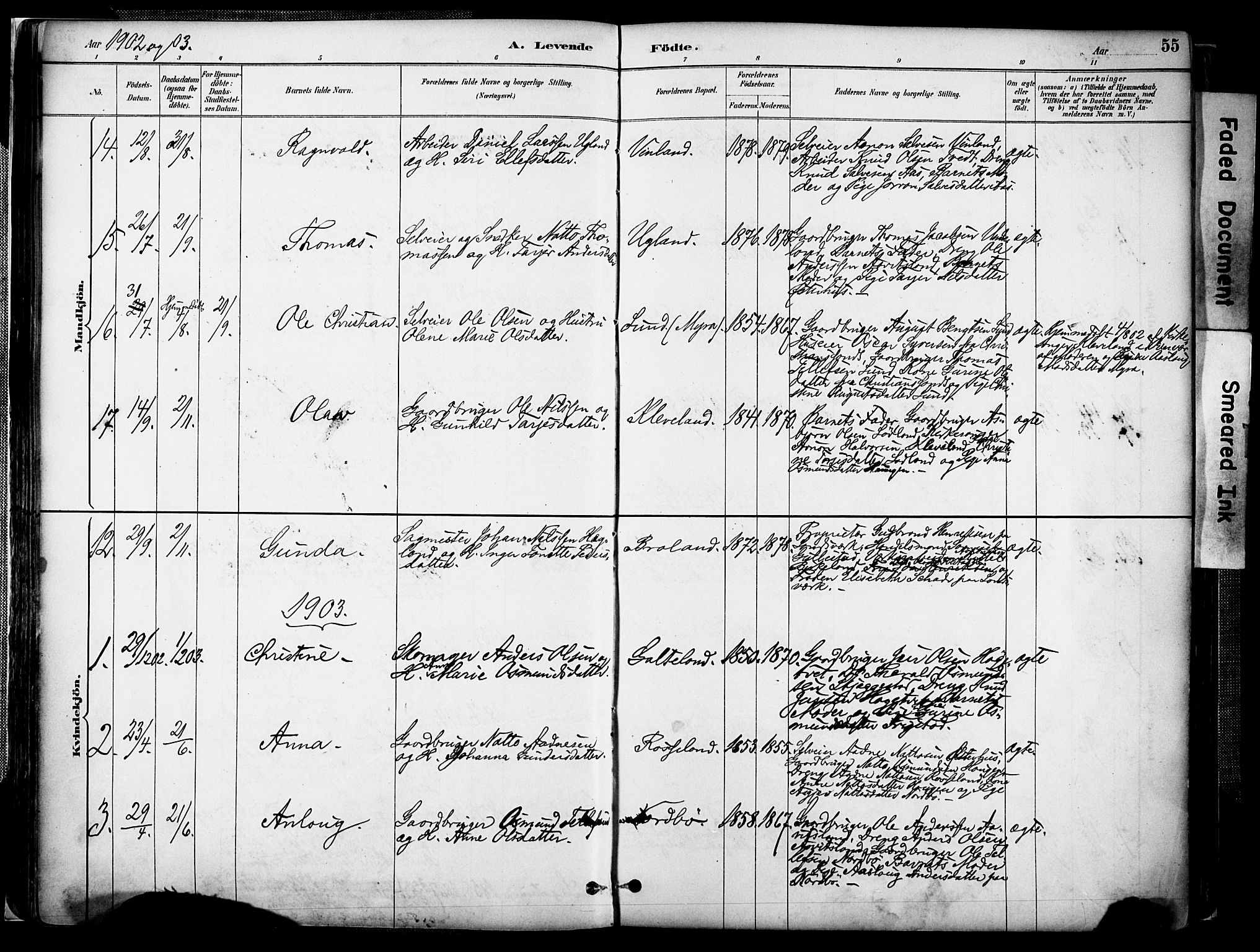 Evje sokneprestkontor, AV/SAK-1111-0008/F/Fa/Faa/L0007: Parish register (official) no. A 7, 1884-1909, p. 55