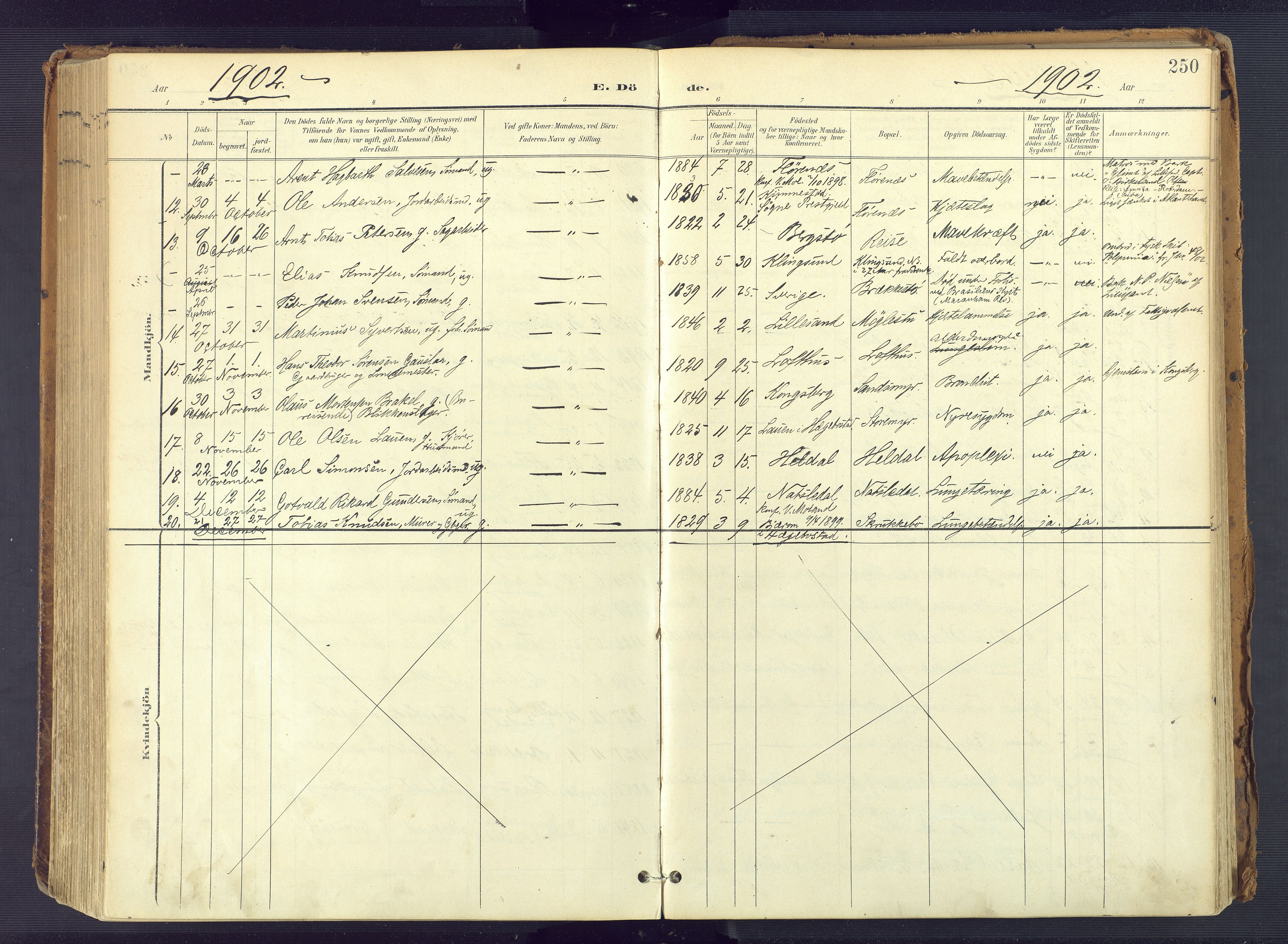 Vestre Moland sokneprestkontor, SAK/1111-0046/F/Fa/Fab/L0010: Parish register (official) no. A 10, 1900-1926, p. 250