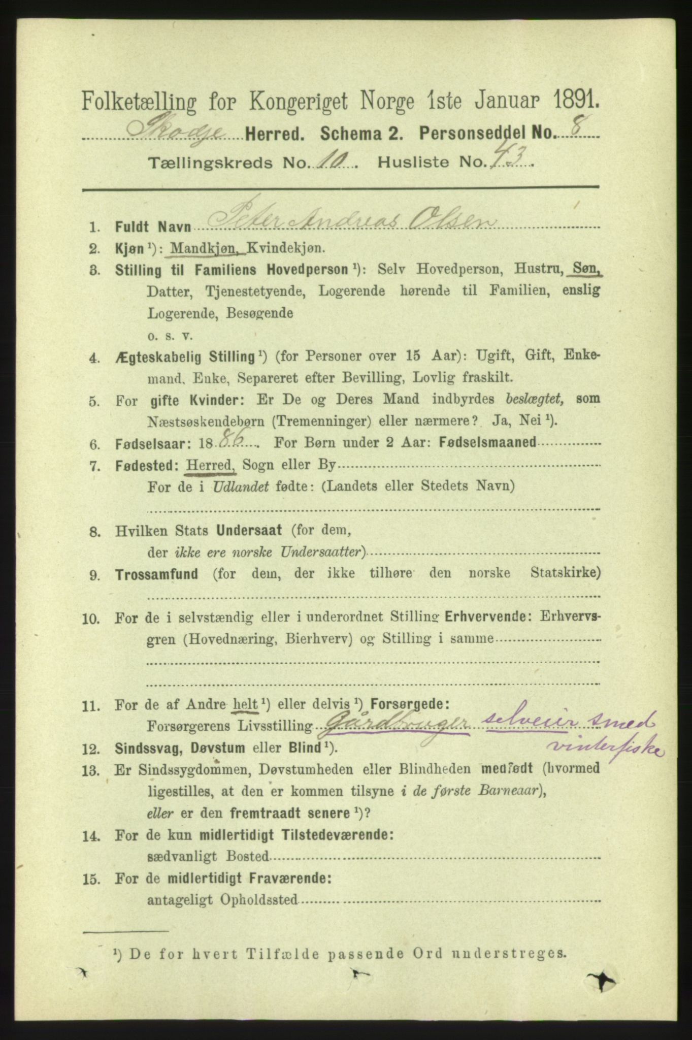 RA, 1891 census for 1529 Skodje, 1891, p. 2261