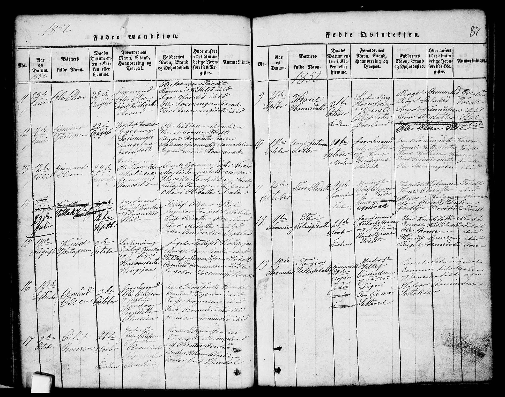 Nissedal kirkebøker, SAKO/A-288/G/Gb/L0001: Parish register (copy) no. II 1, 1814-1862, p. 87