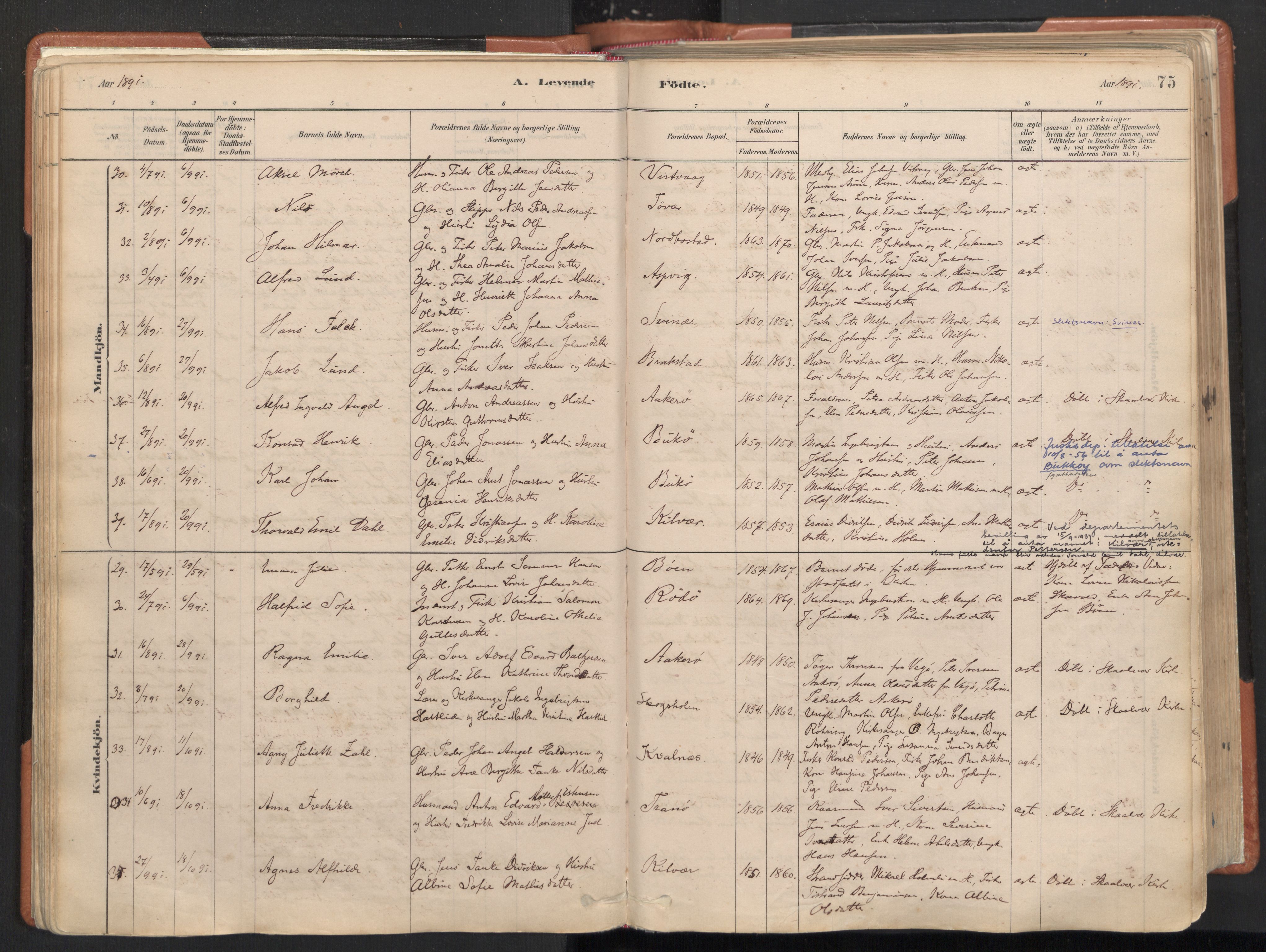 Ministerialprotokoller, klokkerbøker og fødselsregistre - Nordland, SAT/A-1459/817/L0264: Parish register (official) no. 817A04, 1878-1907, p. 75