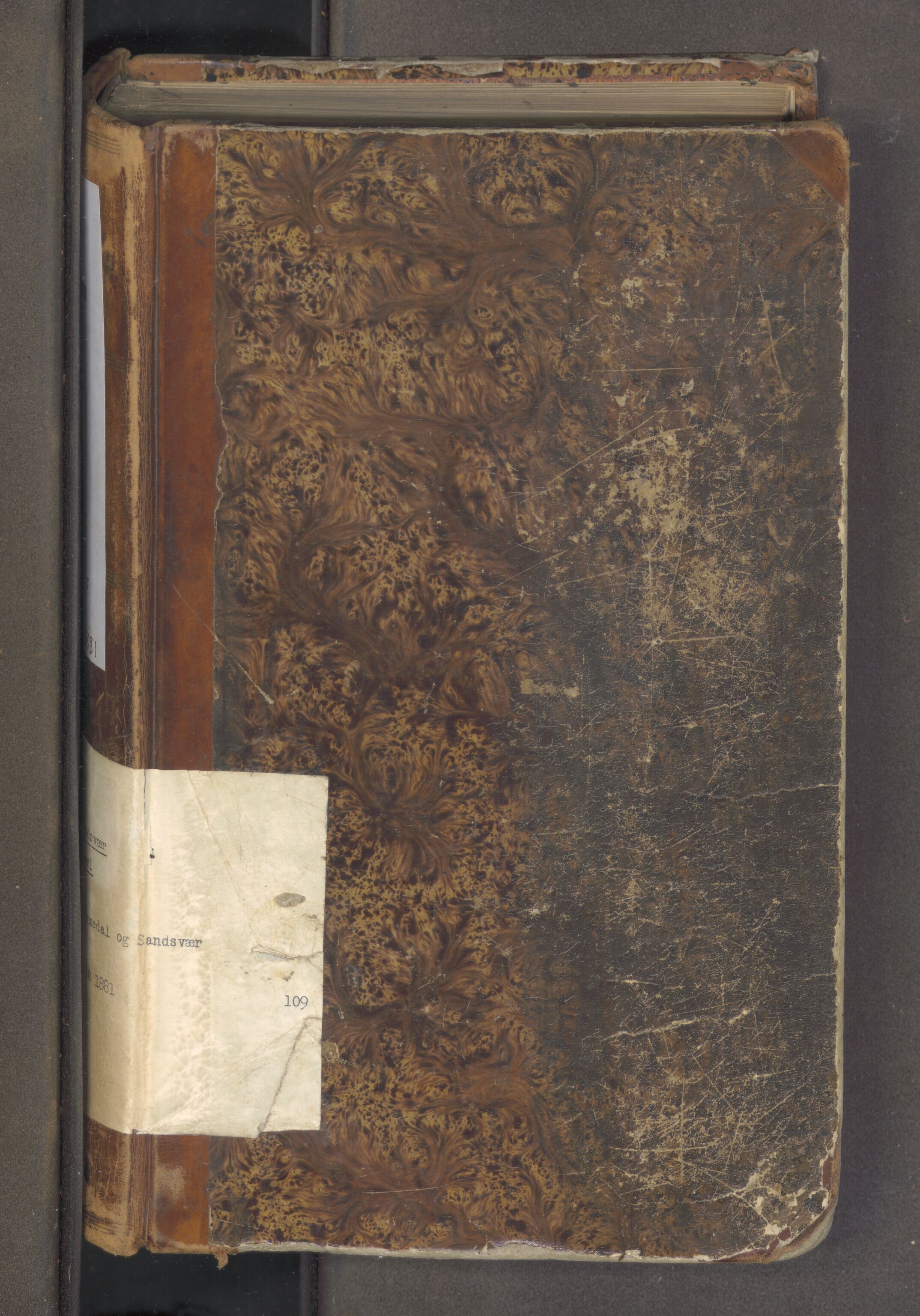 Numedal og Sandsvær sorenskriveri, AV/SAKO-A-128/F/Fa/Faa/L0109: Tingbok, 1873-1881