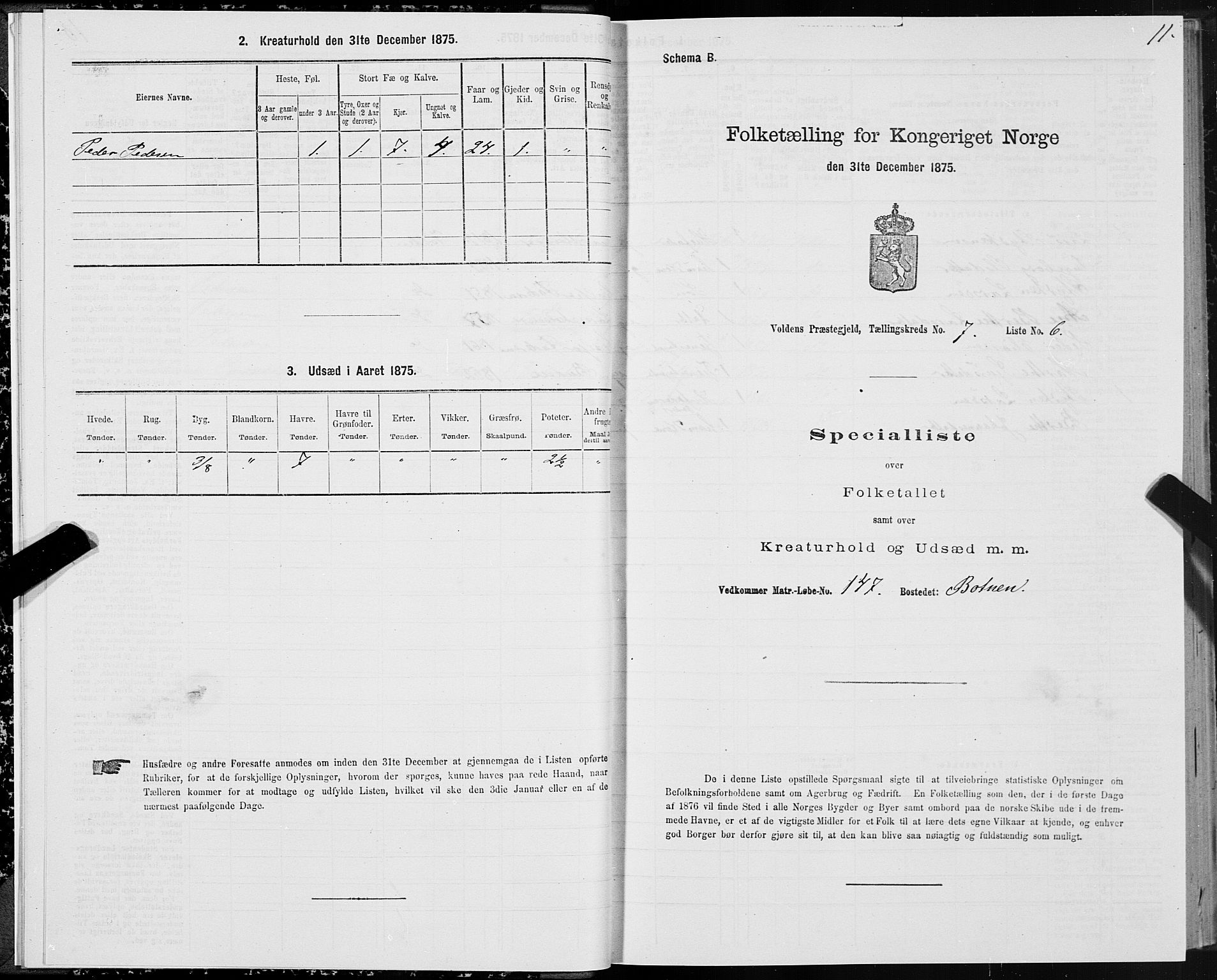 SAT, 1875 census for 1519P Volda, 1875, p. 5011