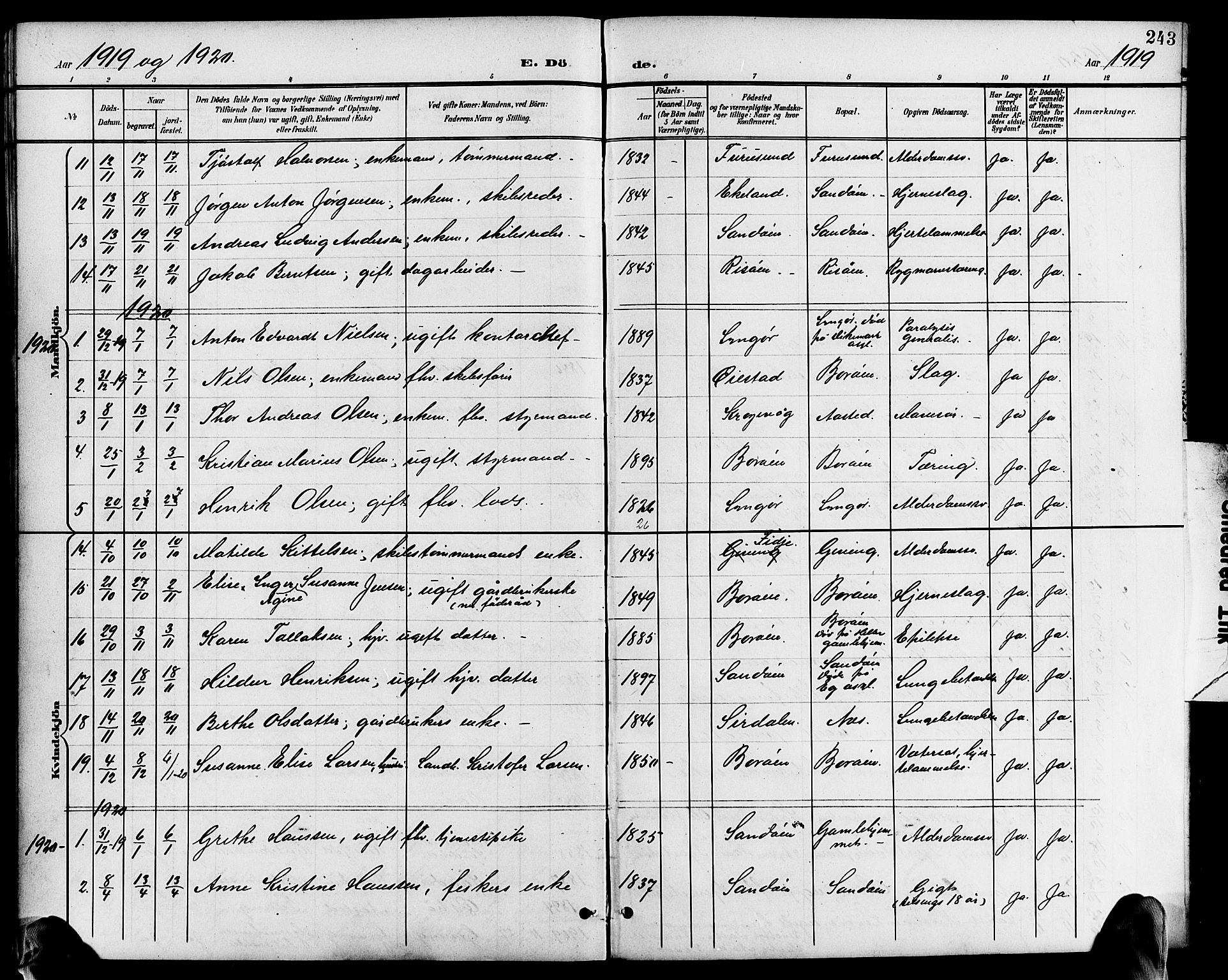 Dypvåg sokneprestkontor, AV/SAK-1111-0007/F/Fb/Fba/L0014: Parish register (copy) no. B 14, 1901-1922, p. 243