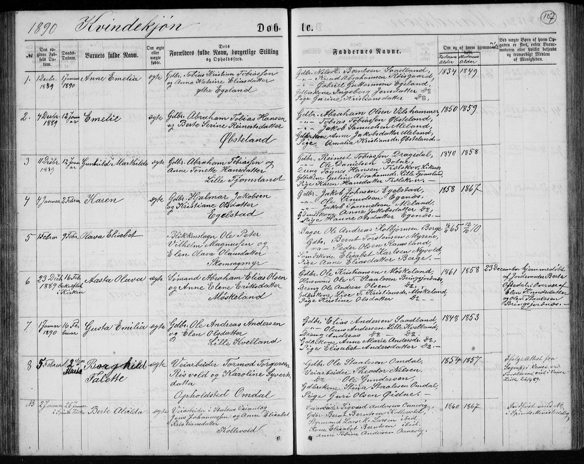 Lyngdal sokneprestkontor, AV/SAK-1111-0029/F/Fb/Fbc/L0004: Parish register (copy) no. B 4, 1878-1896, p. 107