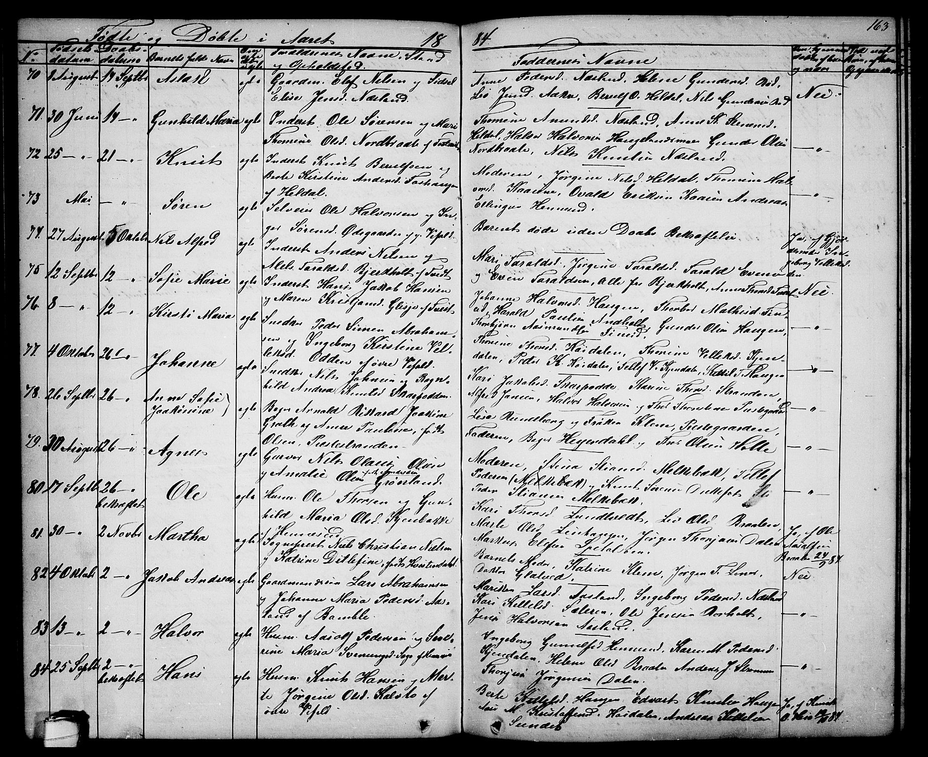 Drangedal kirkebøker, SAKO/A-258/G/Ga/L0002: Parish register (copy) no. I 2, 1856-1887, p. 163
