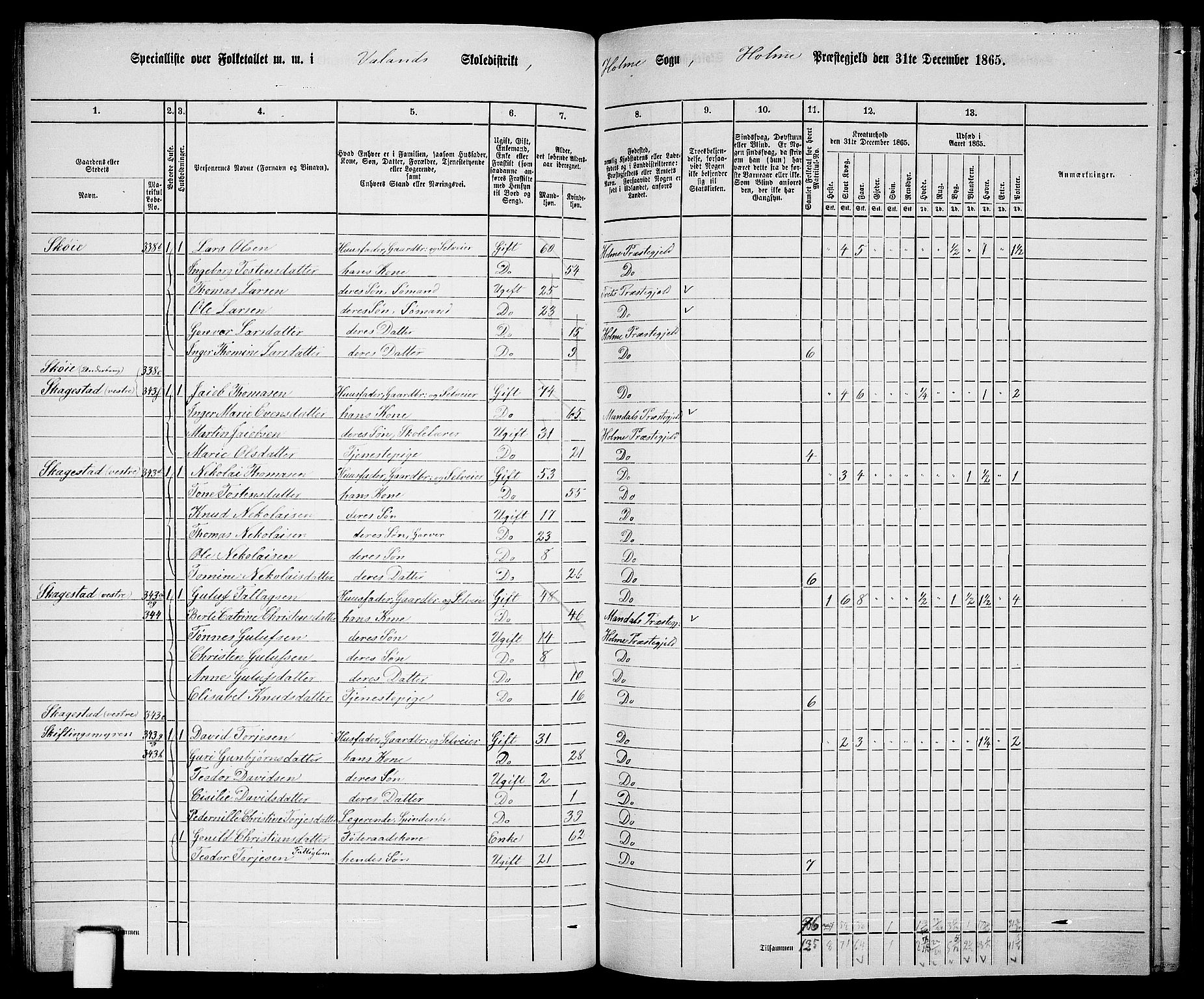 RA, 1865 census for Holum, 1865, p. 81