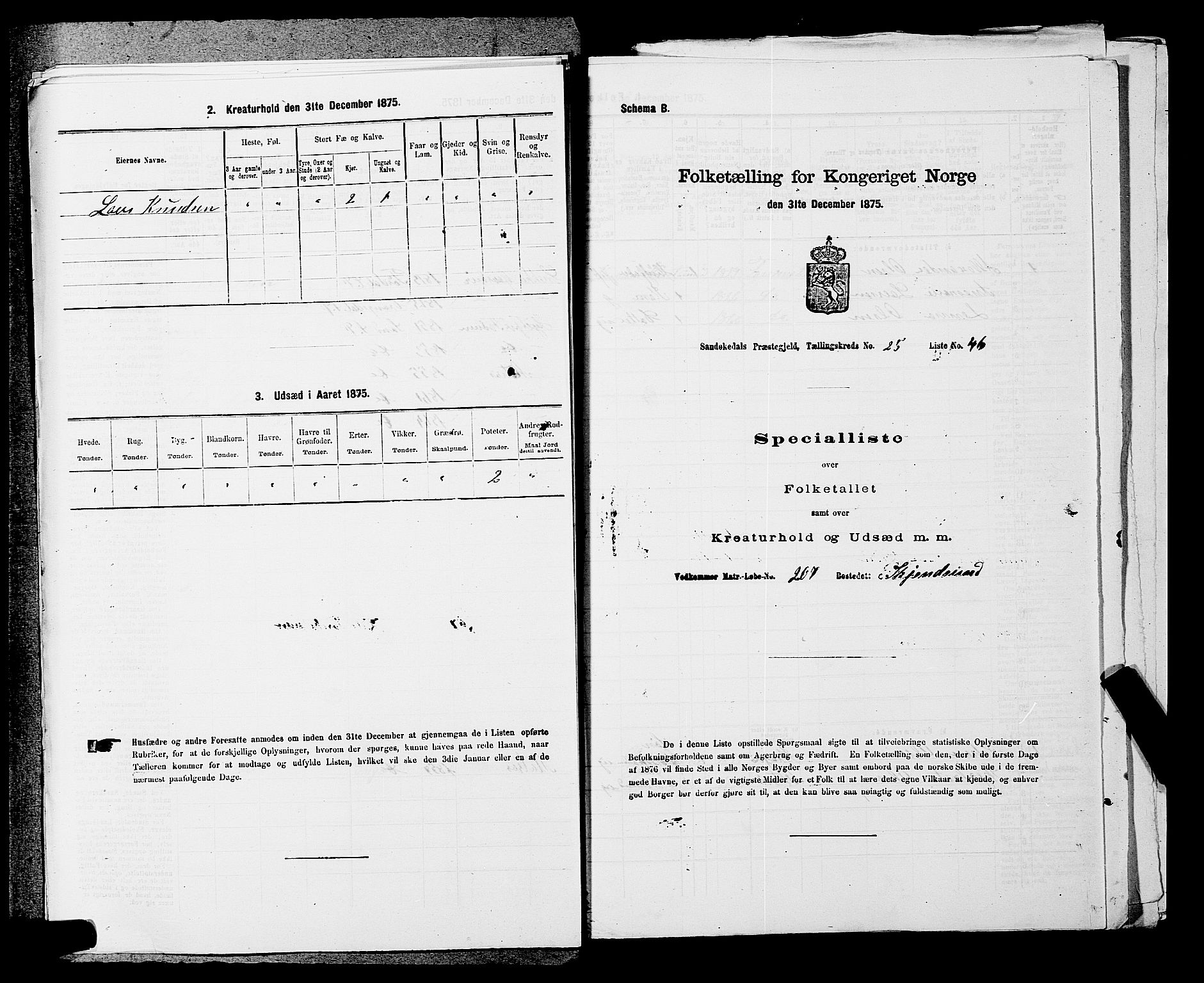 SAKO, 1875 census for 0816P Sannidal, 1875, p. 2006