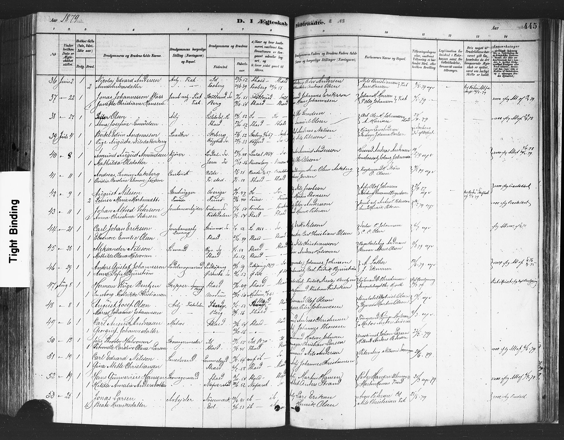 Halden prestekontor Kirkebøker, SAO/A-10909/F/Fa/L0011: Parish register (official) no. I 11, 1878-1889, p. 445