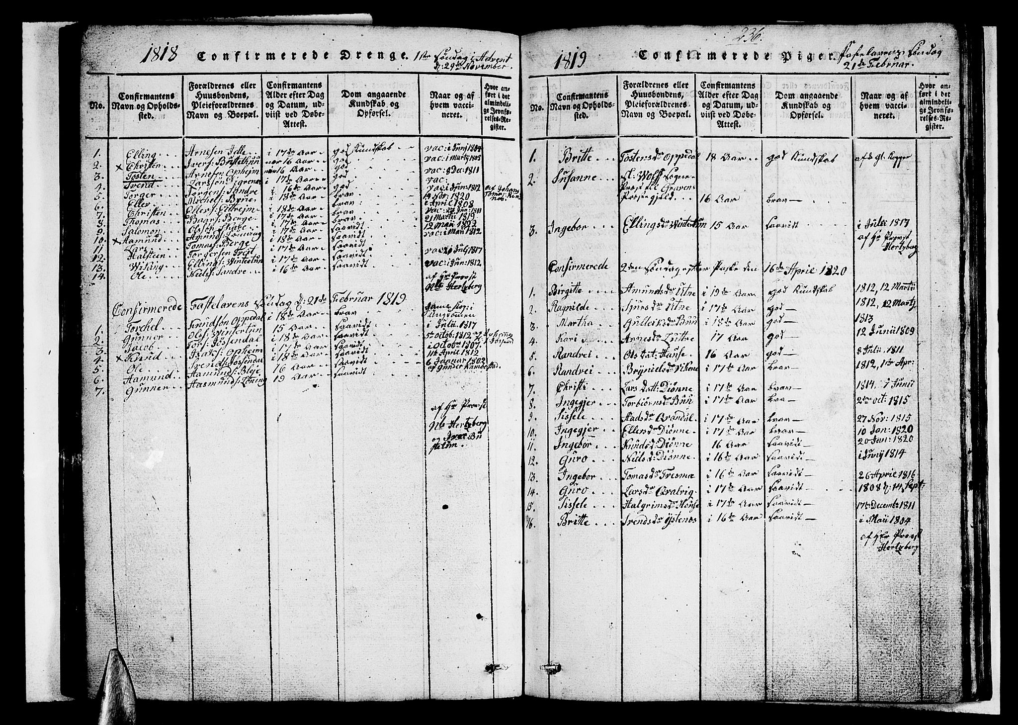 Ullensvang sokneprestembete, AV/SAB-A-78701/H/Hab: Parish register (copy) no. A 3, 1817-1825, p. 236