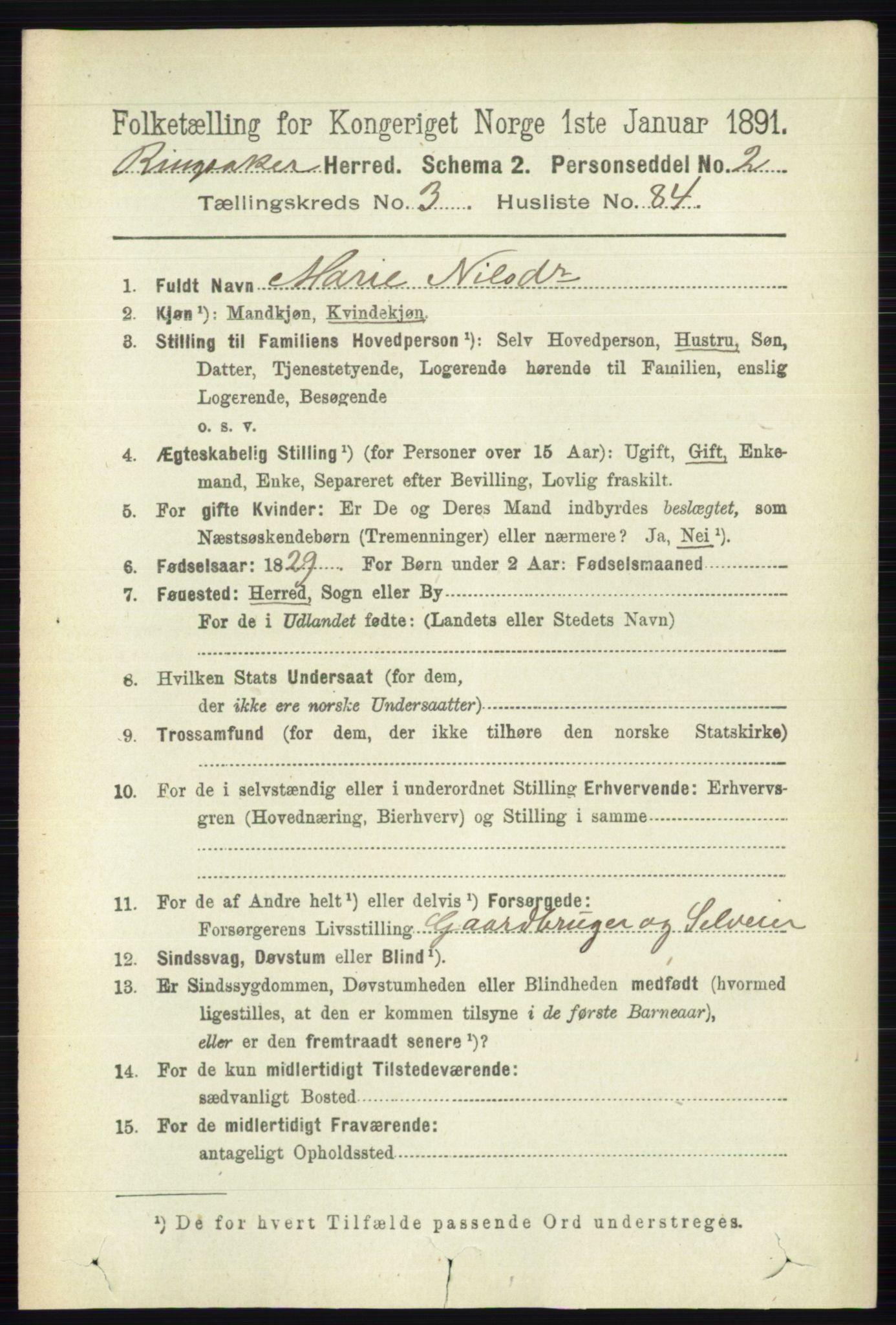 RA, 1891 census for 0412 Ringsaker, 1891, p. 1669