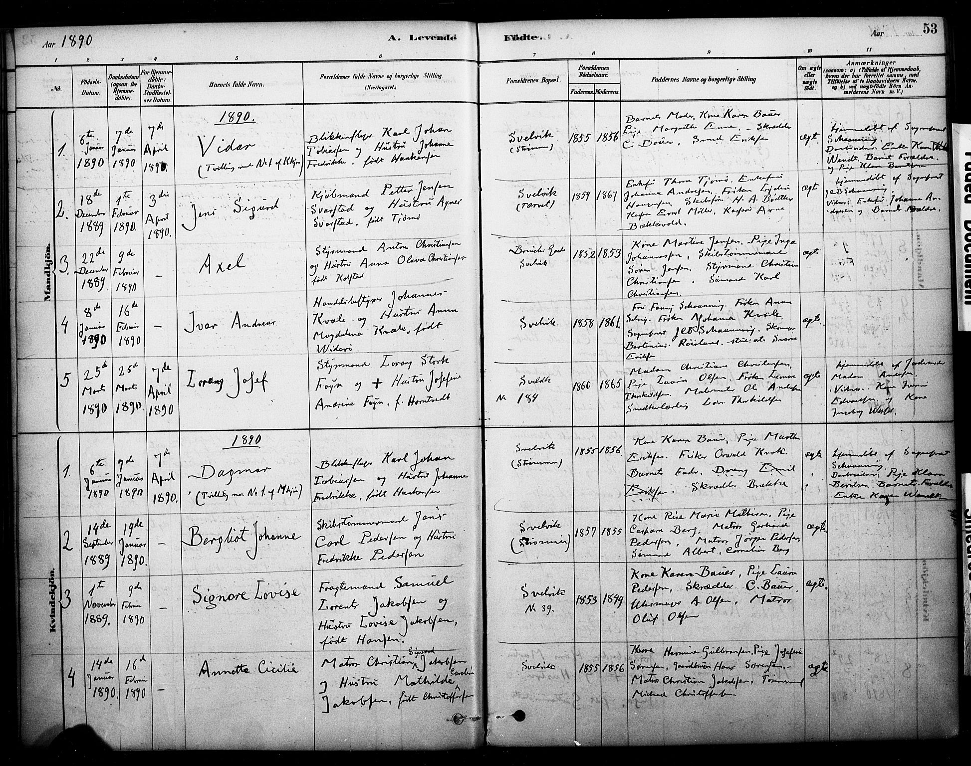 Strømm kirkebøker, AV/SAKO-A-322/F/Fb/L0001: Parish register (official) no. II 1, 1878-1899, p. 53