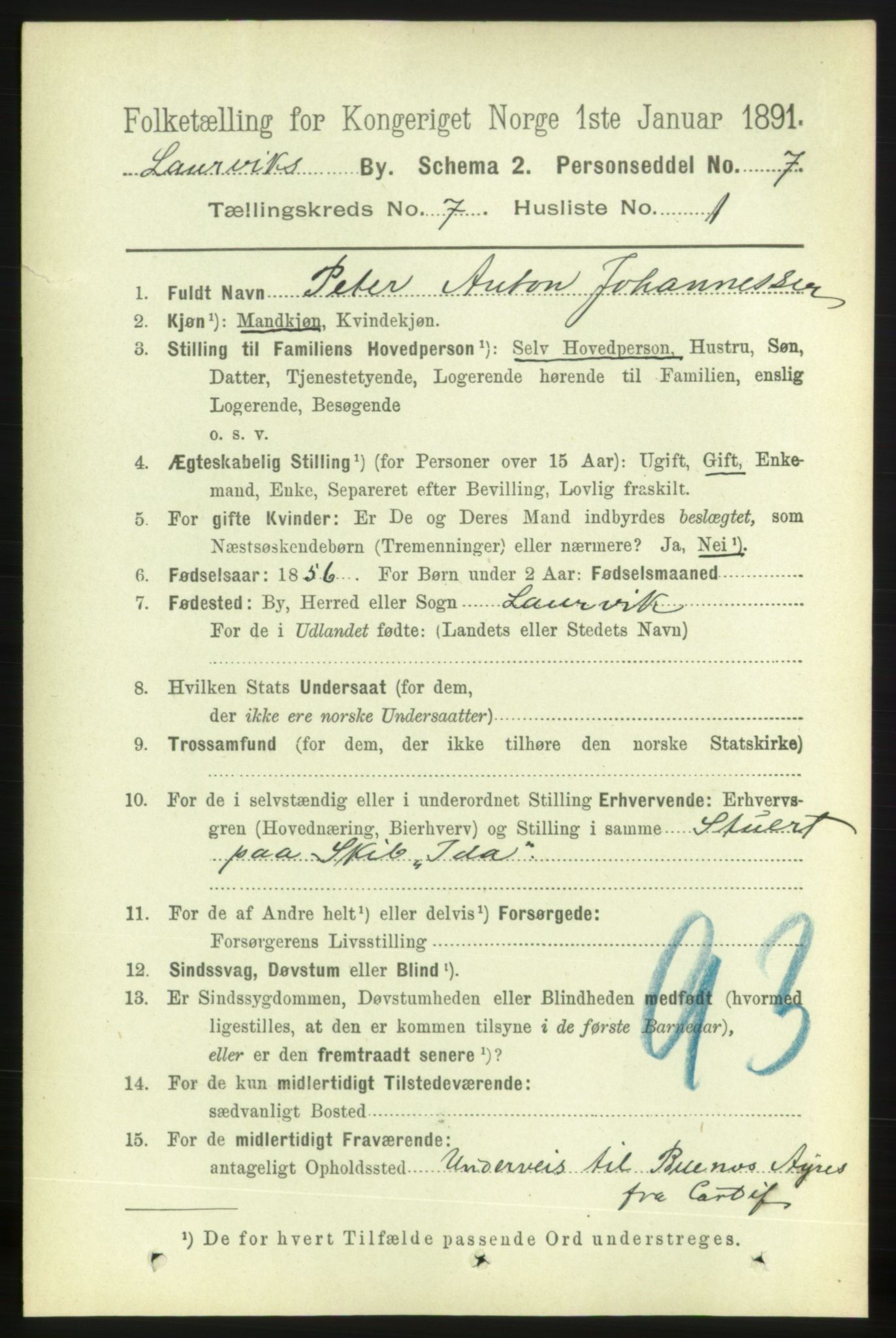 RA, 1891 census for 0707 Larvik, 1891, p. 7160