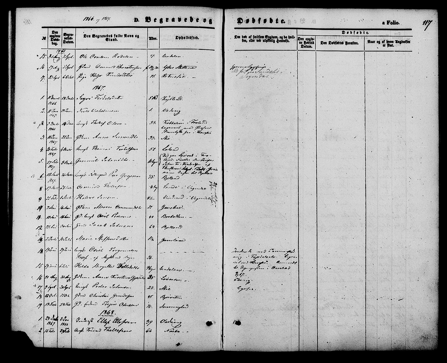 Herefoss sokneprestkontor, AV/SAK-1111-0019/F/Fa/Faa/L0002: Parish register (official) no. A 2, 1861-1886, p. 117