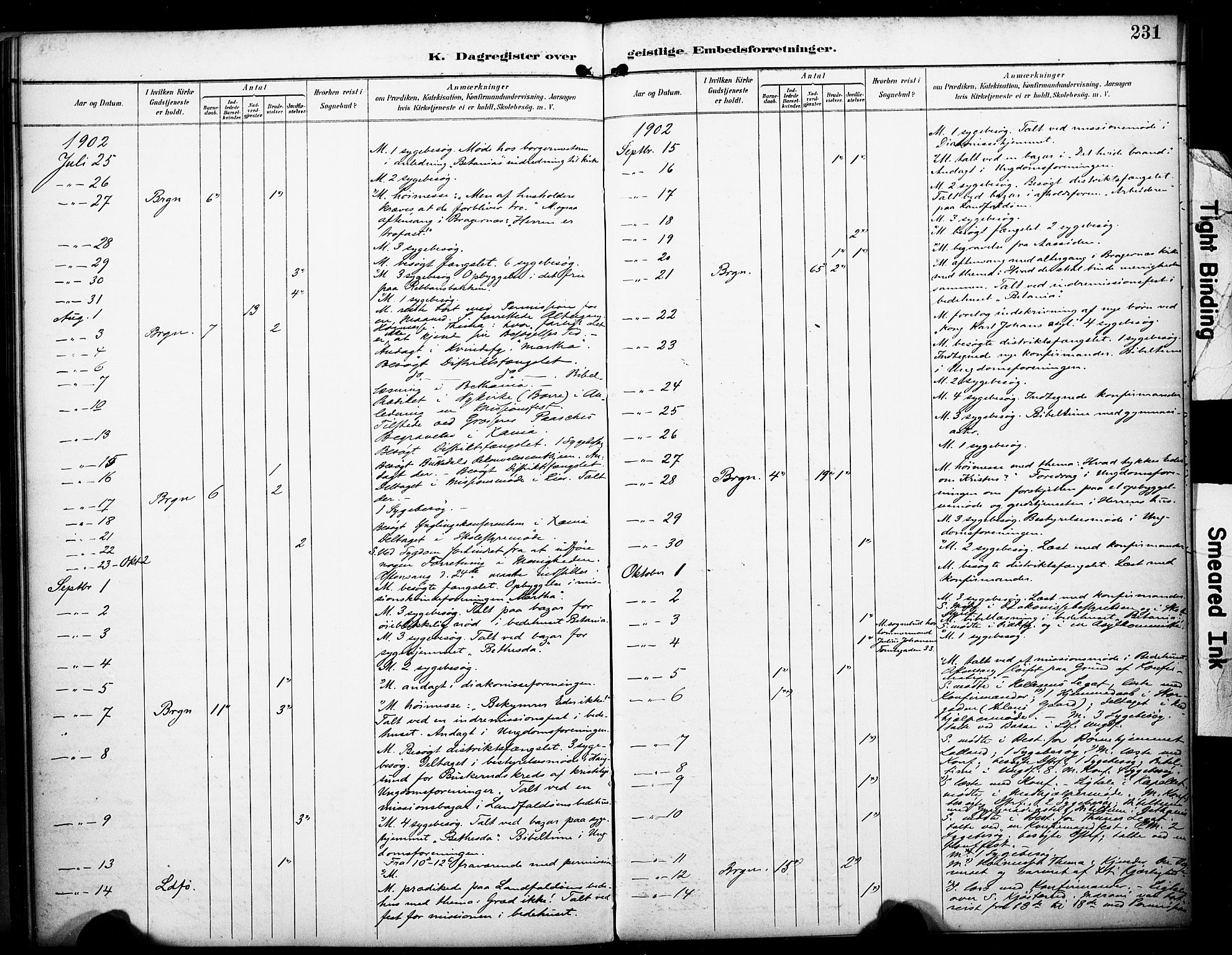 Bragernes kirkebøker, SAKO/A-6/F/Fc/L0006: Parish register (official) no. III 6, 1888-1899, p. 231
