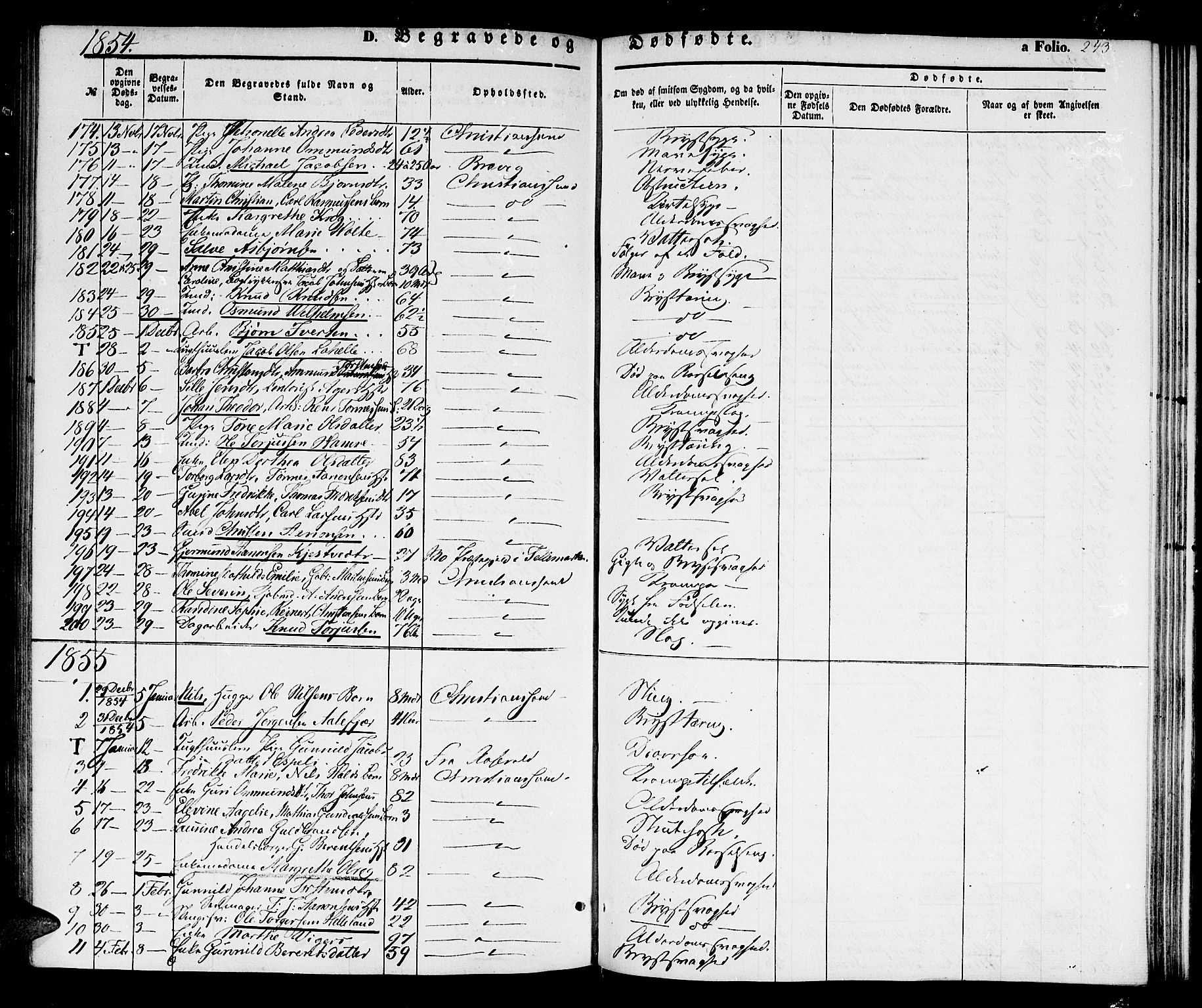 Kristiansand domprosti, SAK/1112-0006/F/Fb/L0011: Parish register (copy) no. B 11, 1851-1861, p. 243