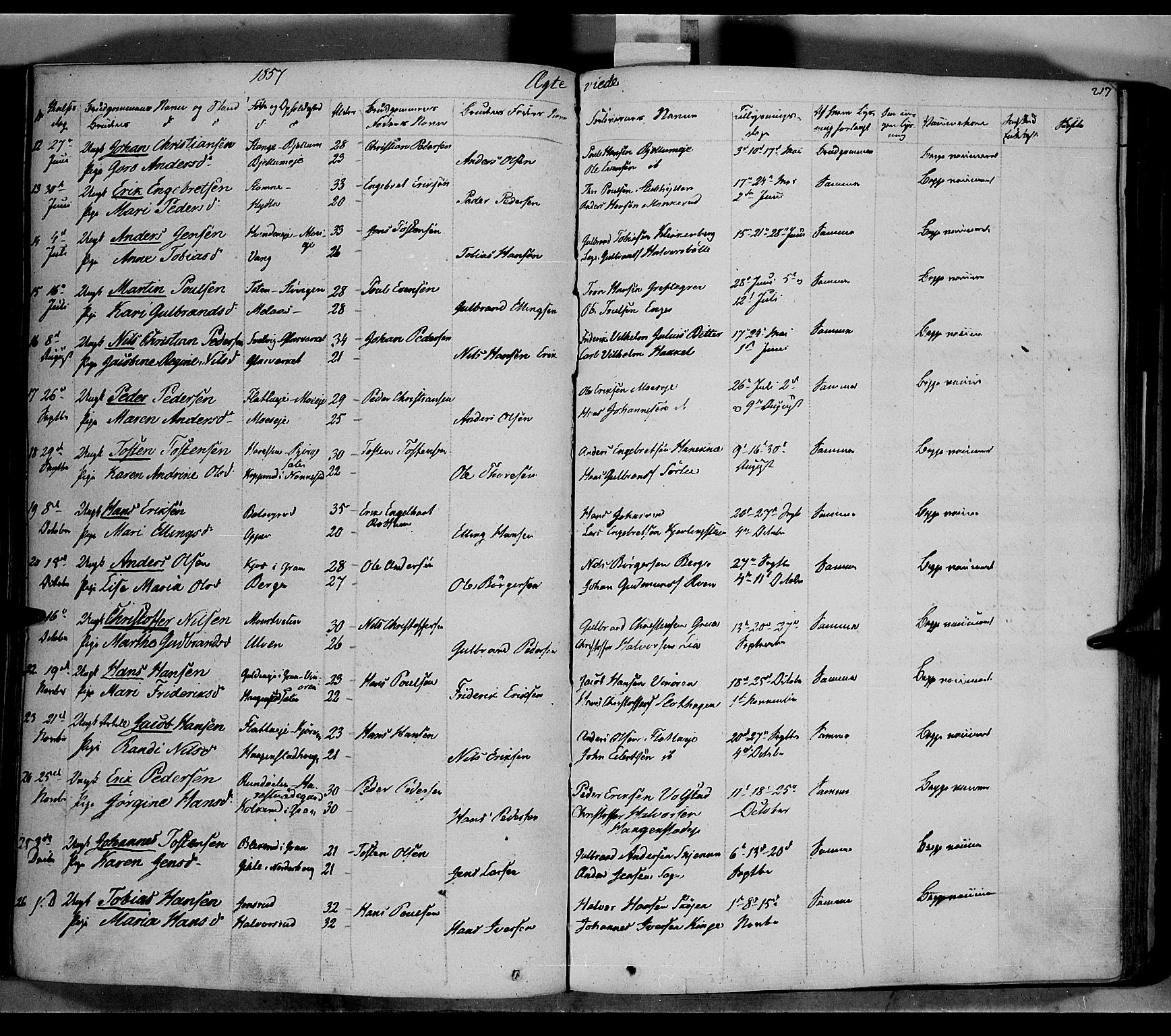 Jevnaker prestekontor, SAH/PREST-116/H/Ha/Haa/L0006: Parish register (official) no. 6, 1837-1857, p. 217