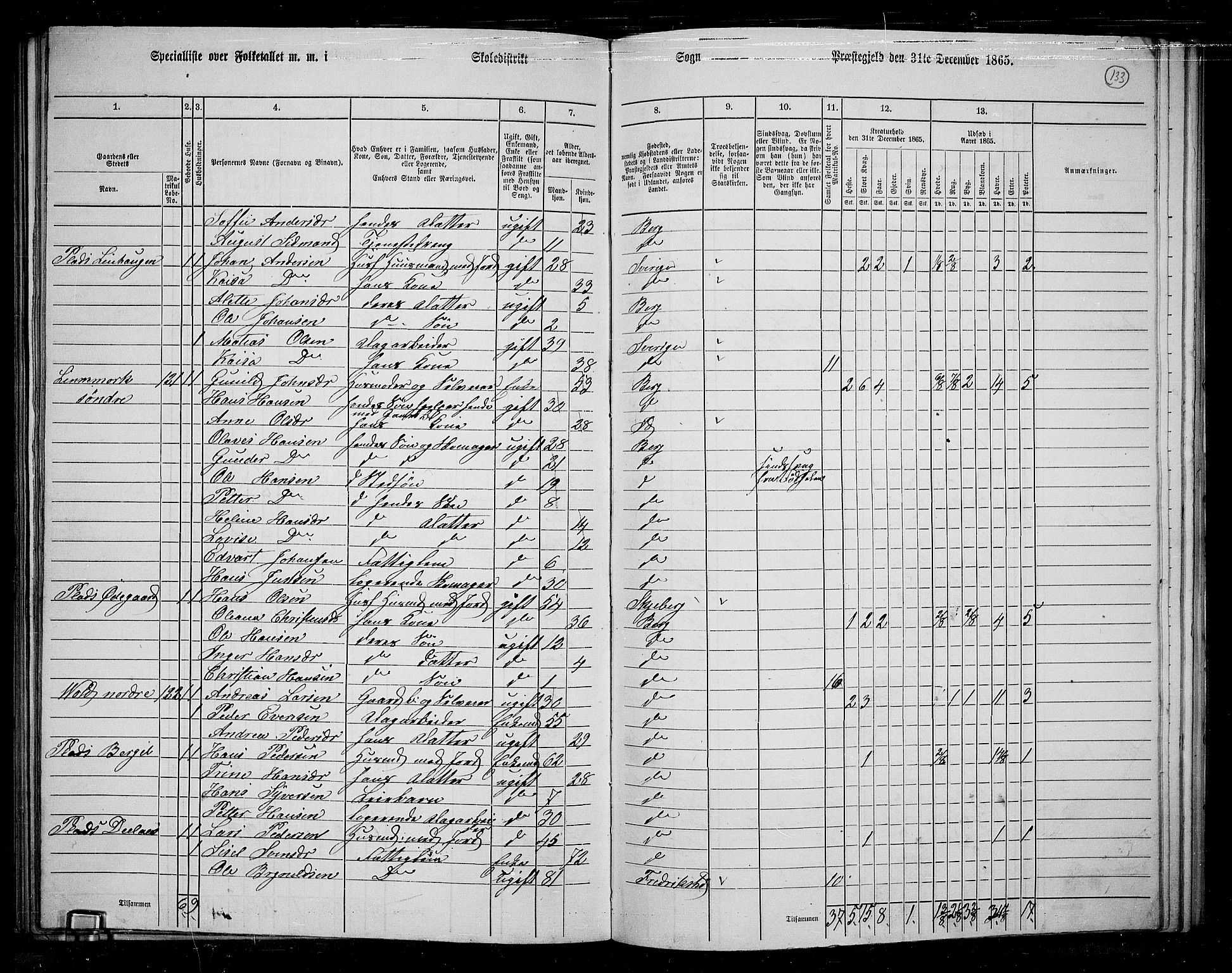 RA, 1865 census for Berg, 1865, p. 116