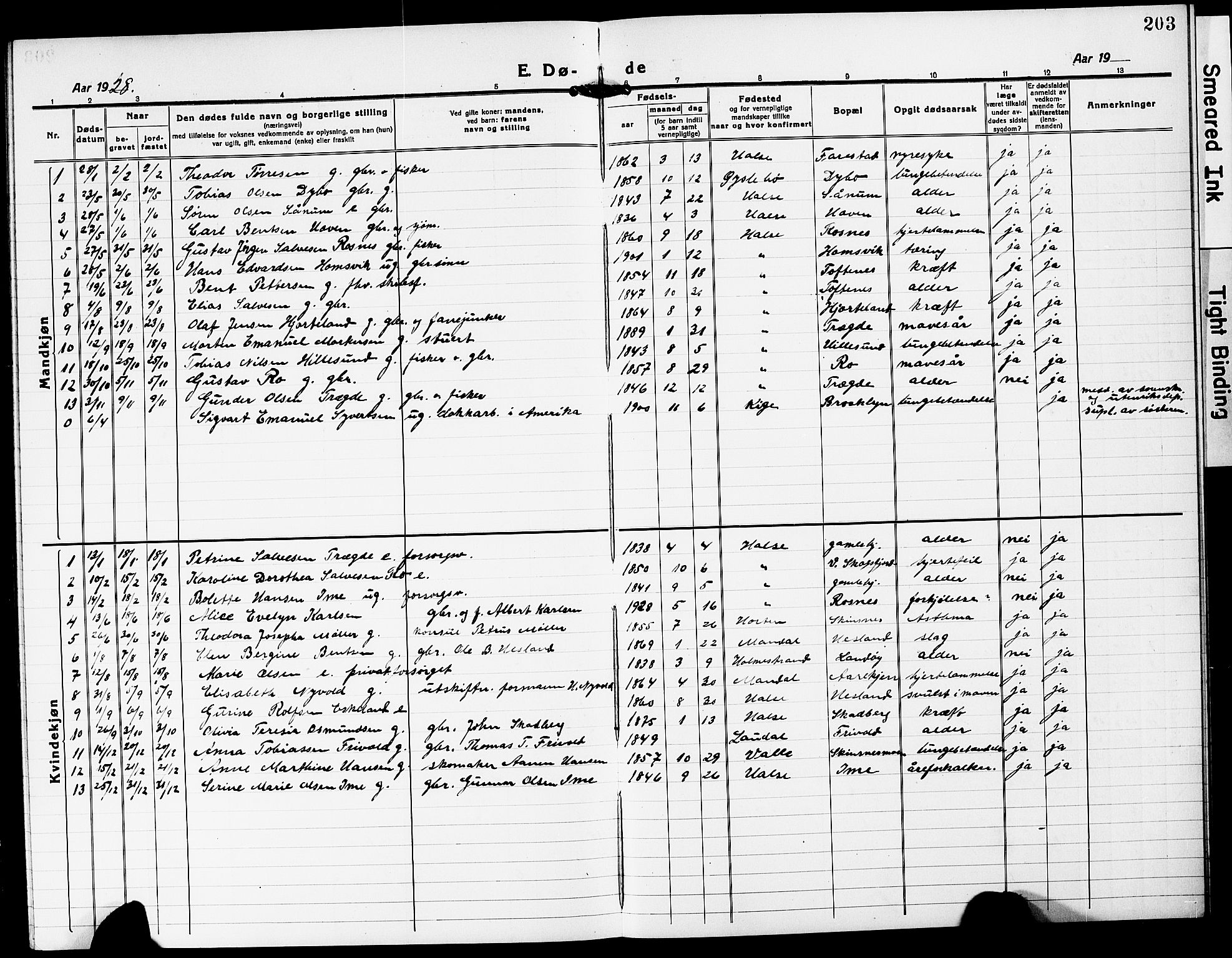 Mandal sokneprestkontor, SAK/1111-0030/F/Fb/Fba/L0013: Parish register (copy) no. B 7, 1918-1931, p. 203
