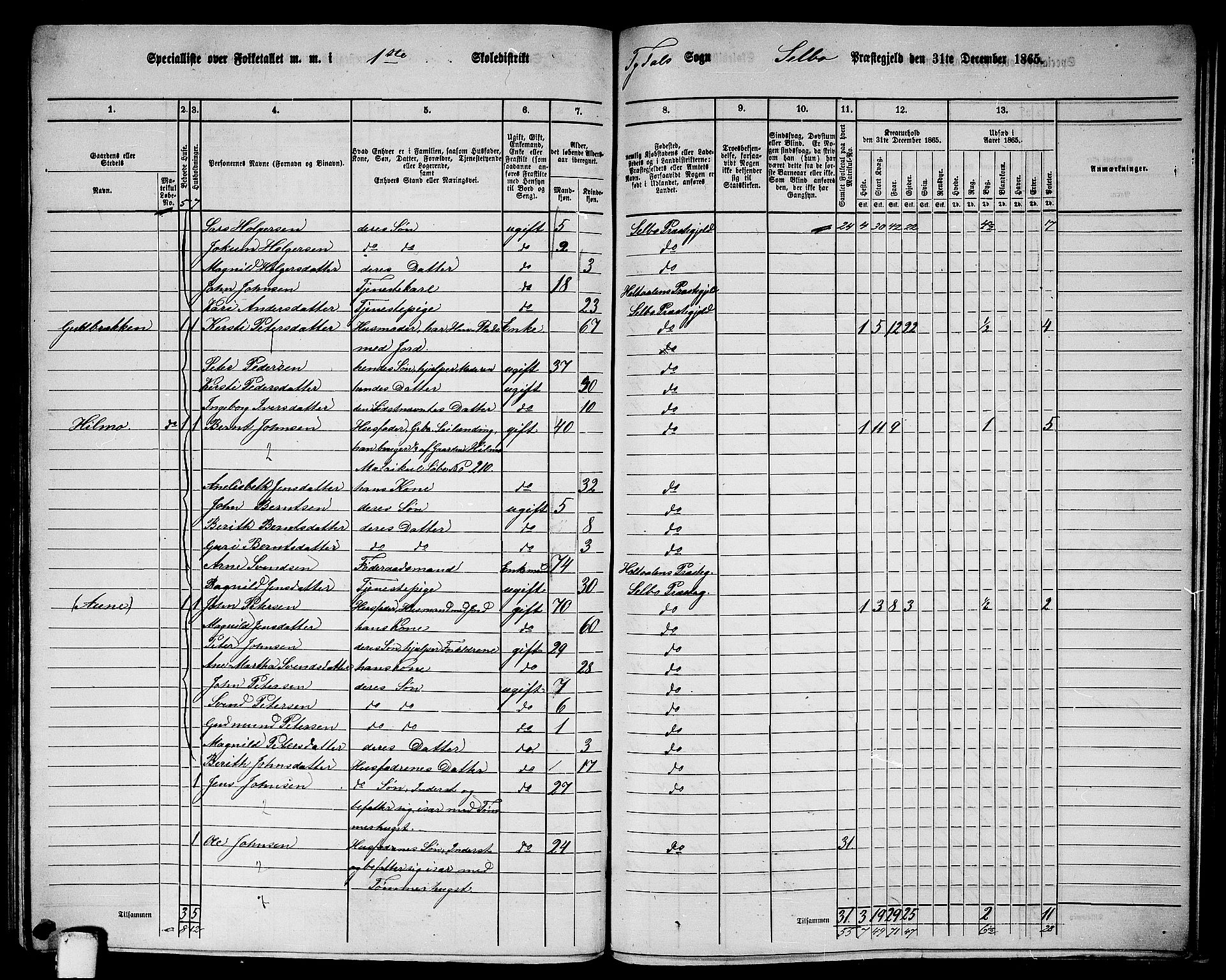RA, 1865 census for Selbu, 1865, p. 223