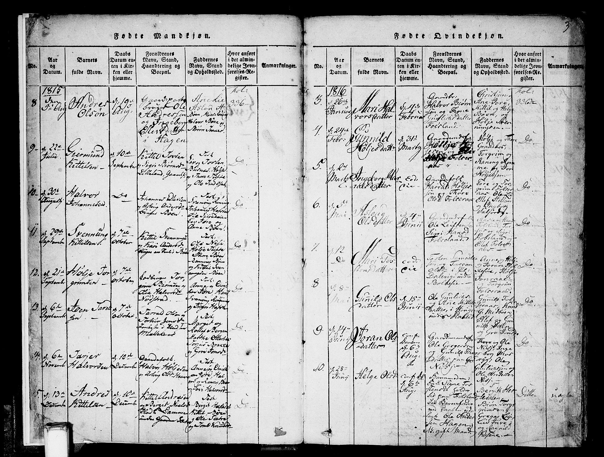 Gransherad kirkebøker, SAKO/A-267/F/Fa/L0001: Parish register (official) no. I 1, 1815-1843, p. 3