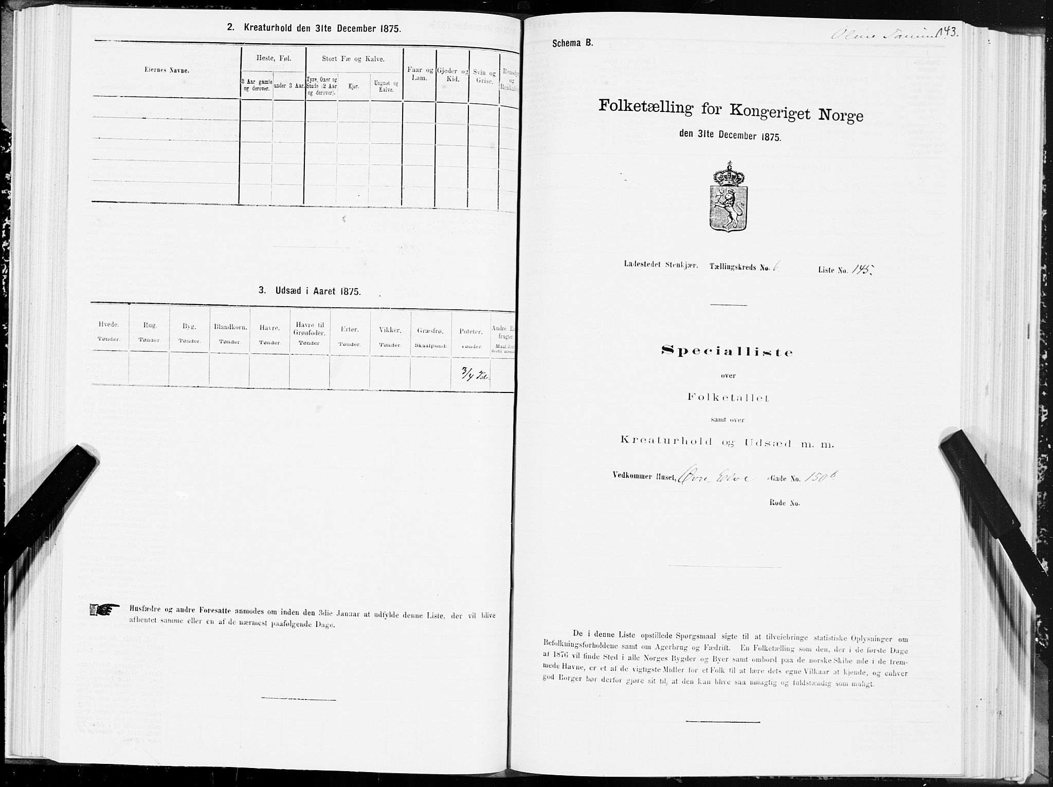 SAT, 1875 census for 1702B Steinkjer/Steinkjer, 1875, p. 143