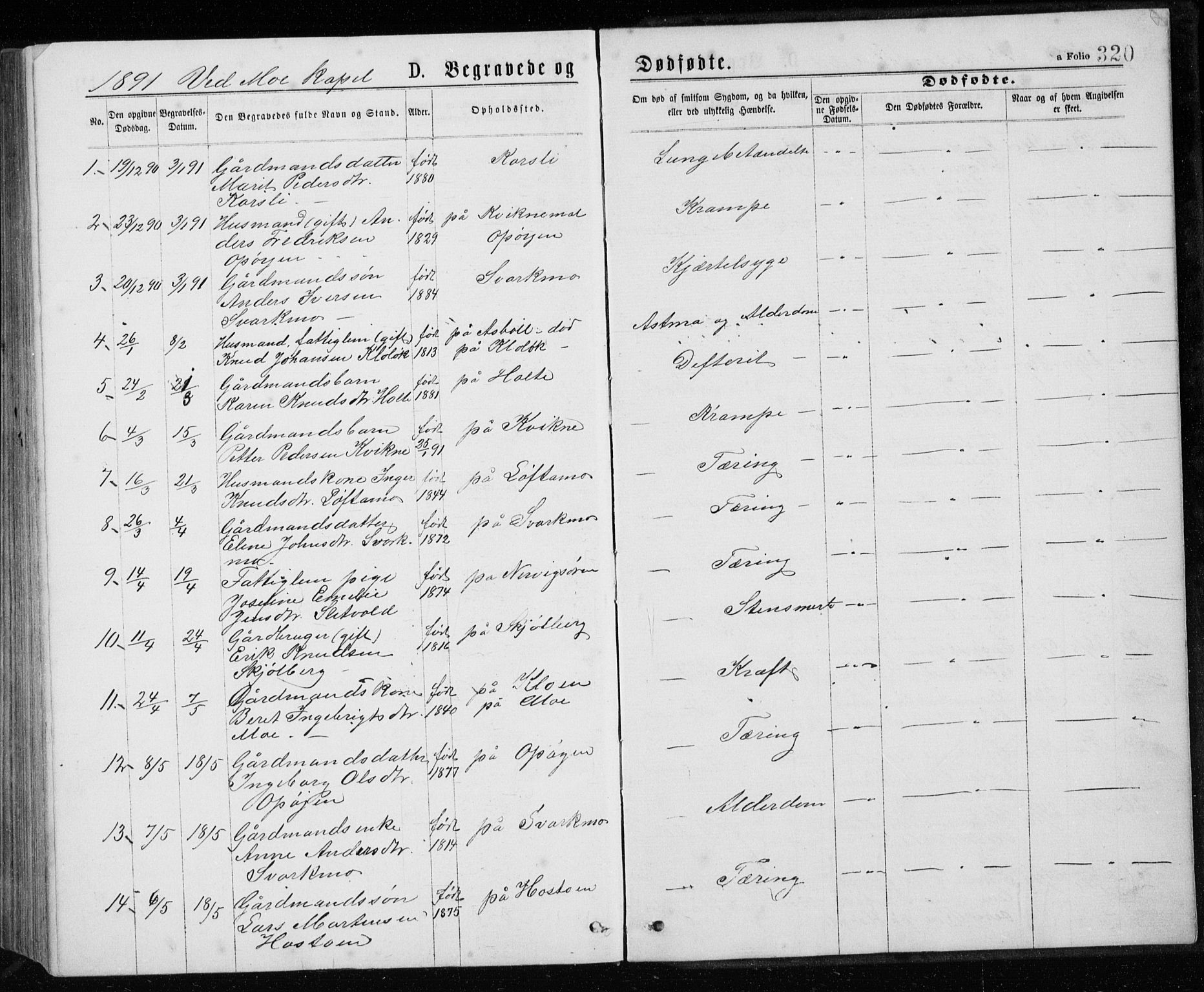 Ministerialprotokoller, klokkerbøker og fødselsregistre - Sør-Trøndelag, SAT/A-1456/671/L0843: Parish register (copy) no. 671C02, 1873-1892, p. 320